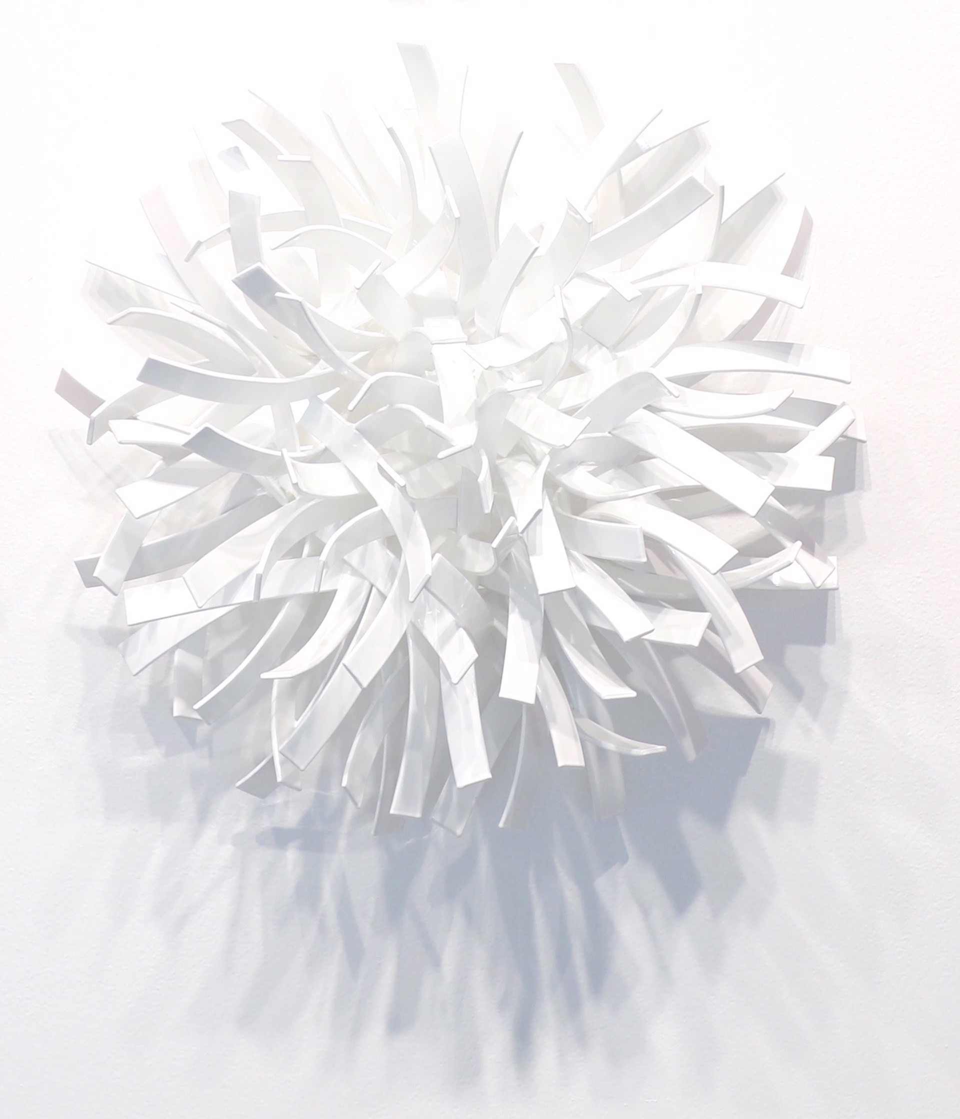 Anemone (White) by Matt Devine