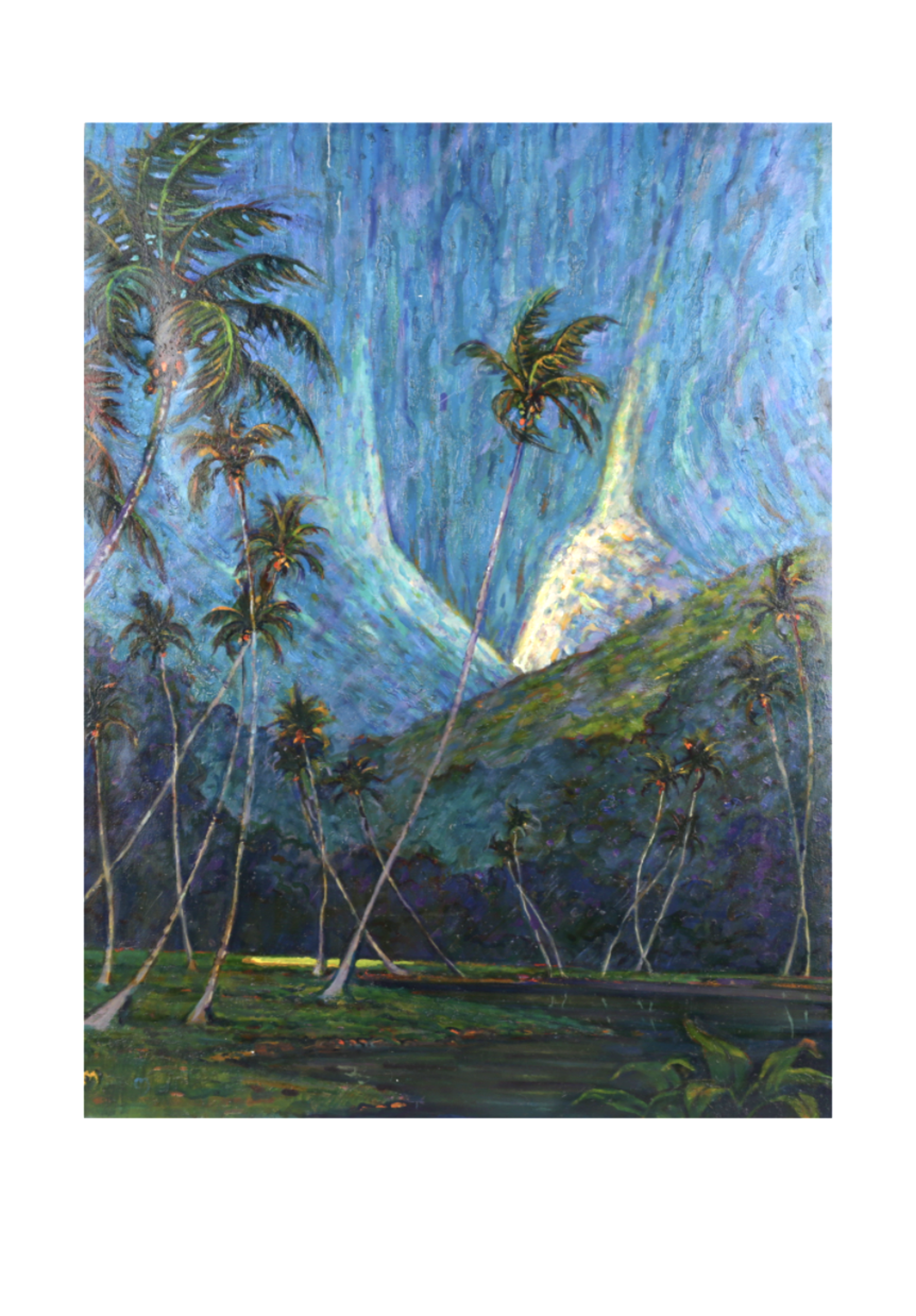 Coconut Grove by Dennis Morton