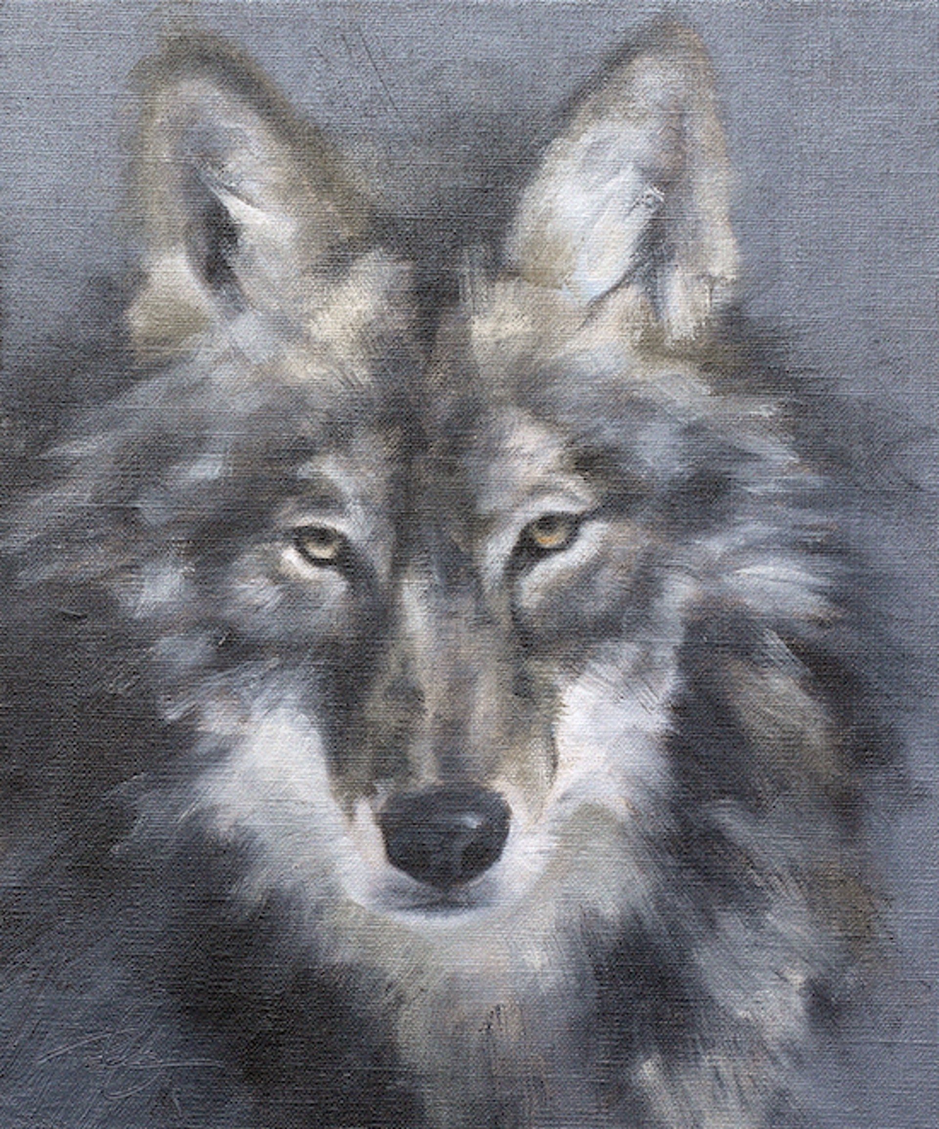 Wolf Study, Dark by Doyle Hostetler