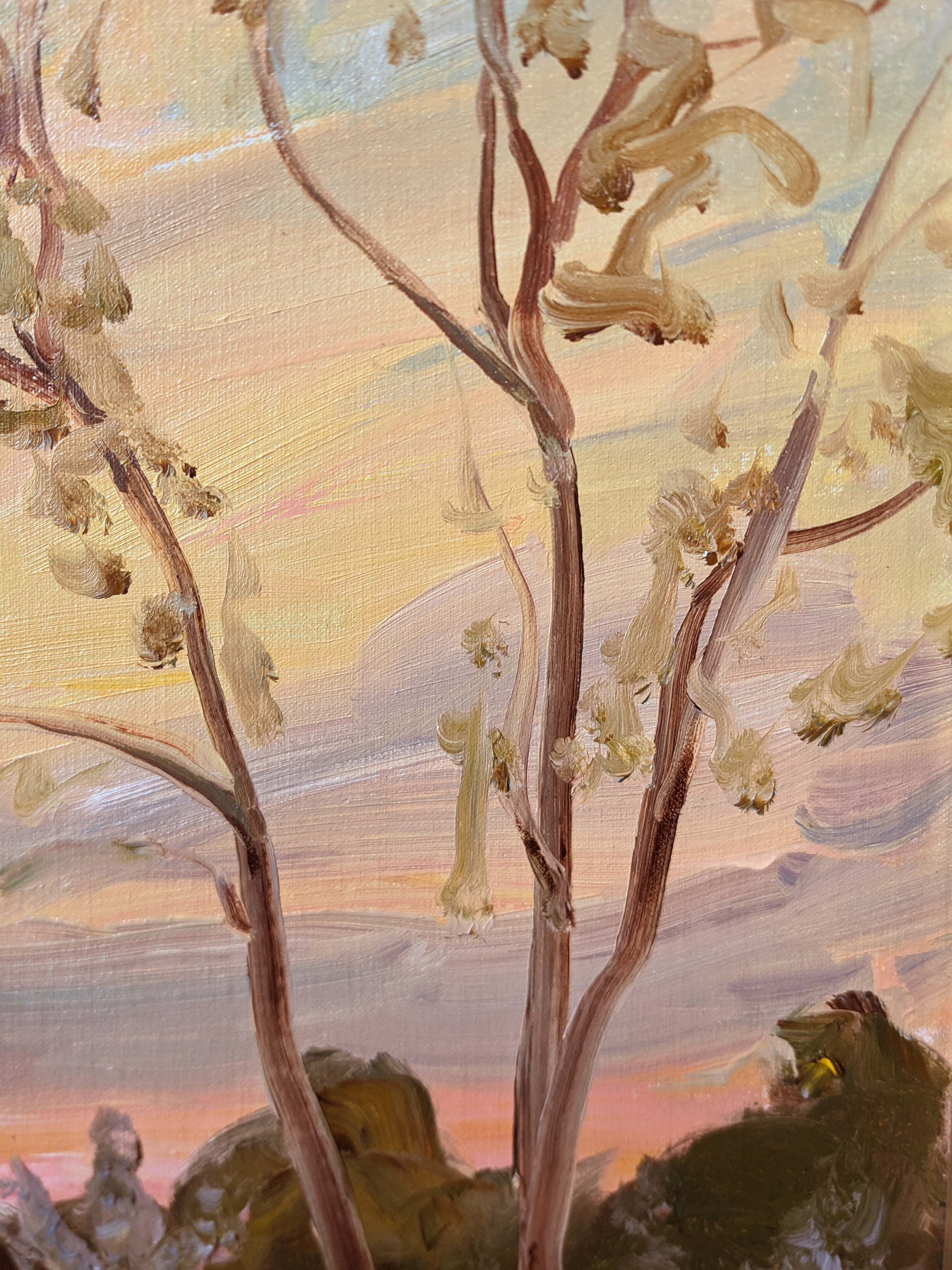 Elm and Apple Blossoms by Steve Gerhartz