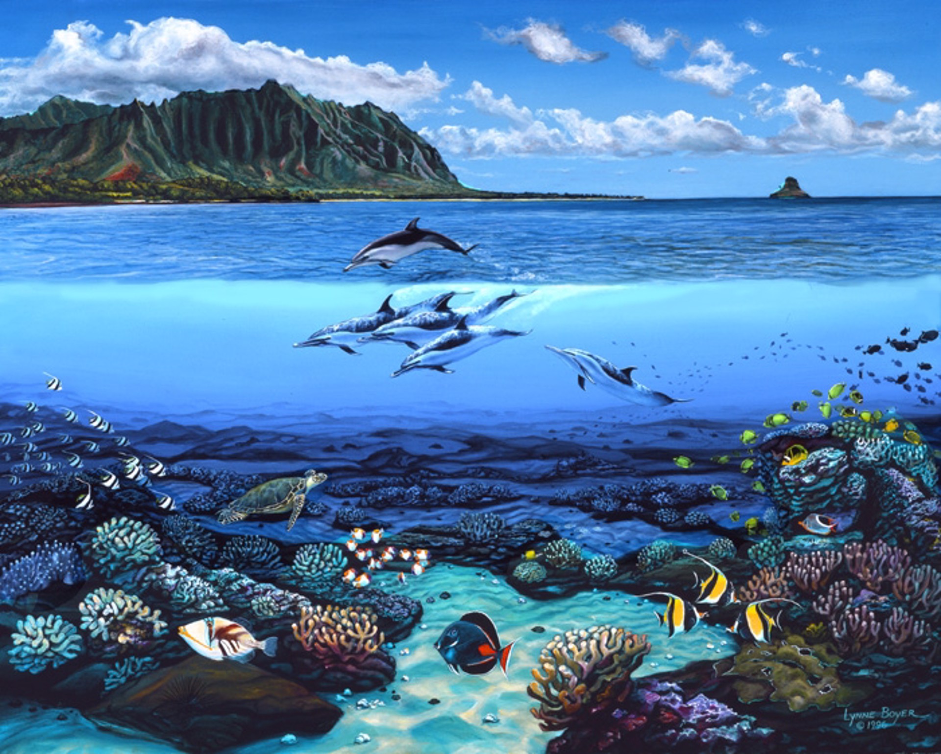 Sealife at Kānehoalani by Lynne Boyer