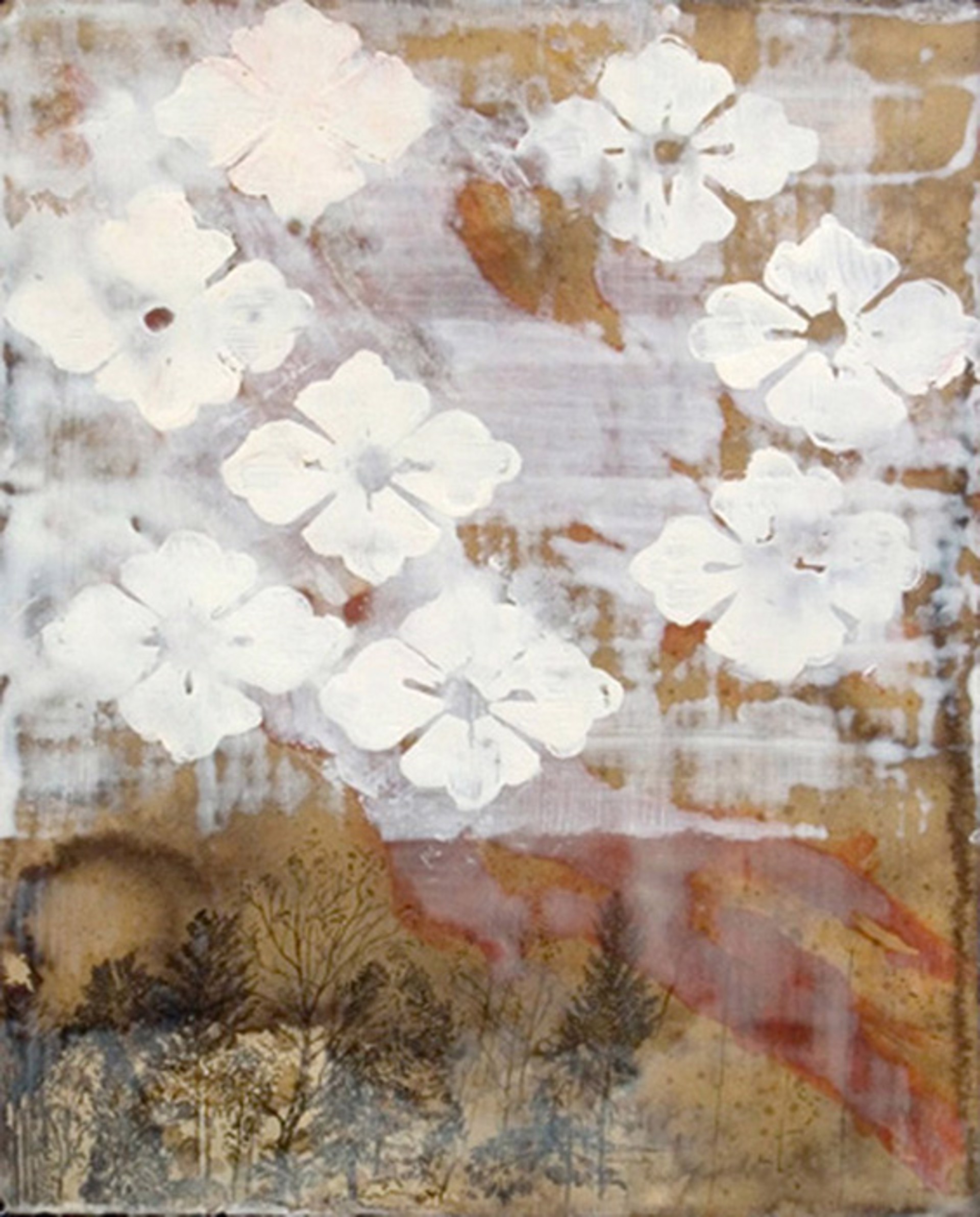 Spring Dogwoods - Sold by Thomas Swanston