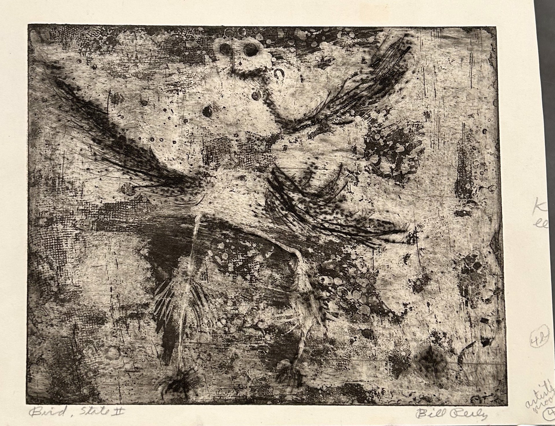 4b. Bird (State II) (Artist's proof 4b) by Bill Reily - Prints