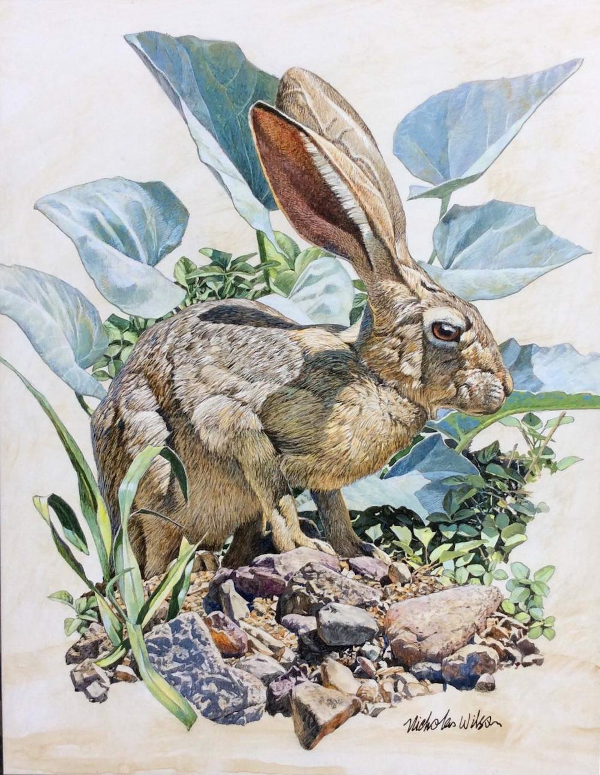 Desert Hare by Nicholas Wilson