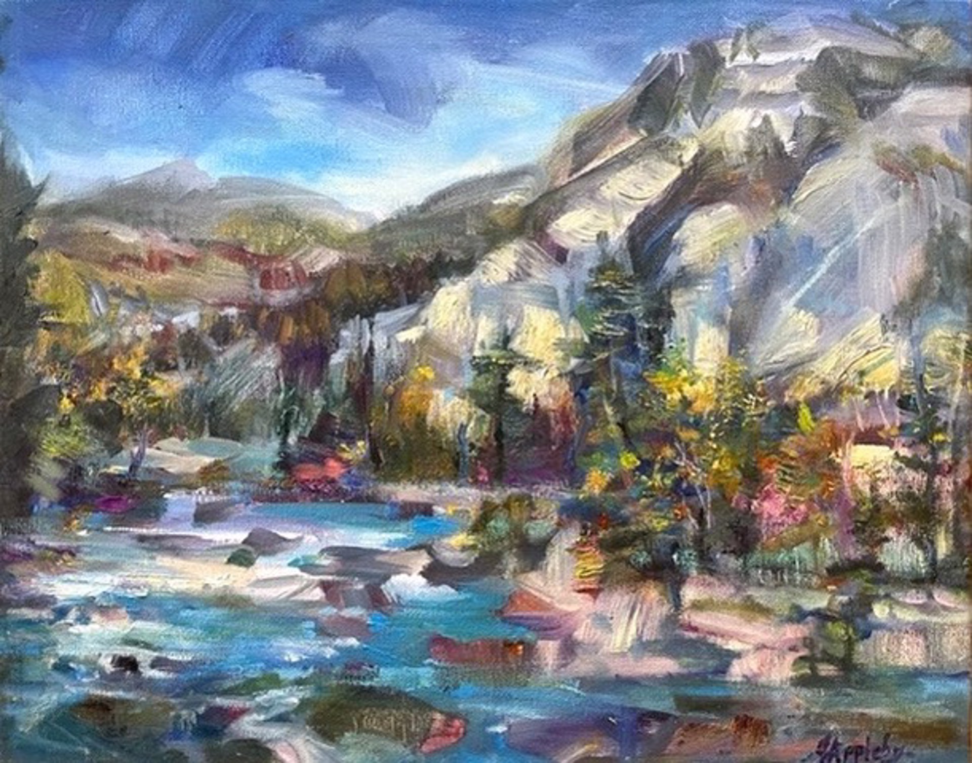 Bow Falls Afternoon by Jane Appleby