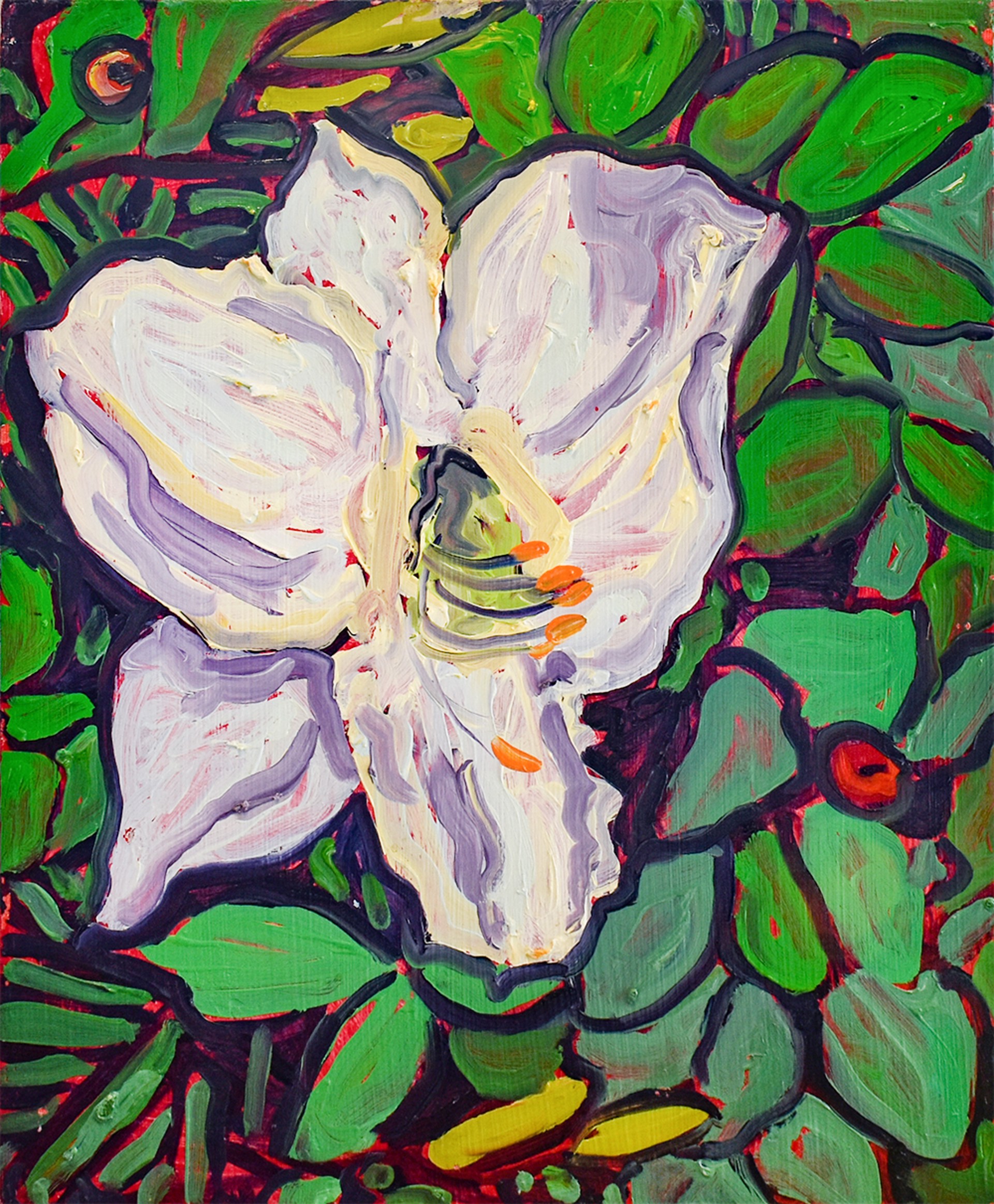Big White Lily by Dan Rupe