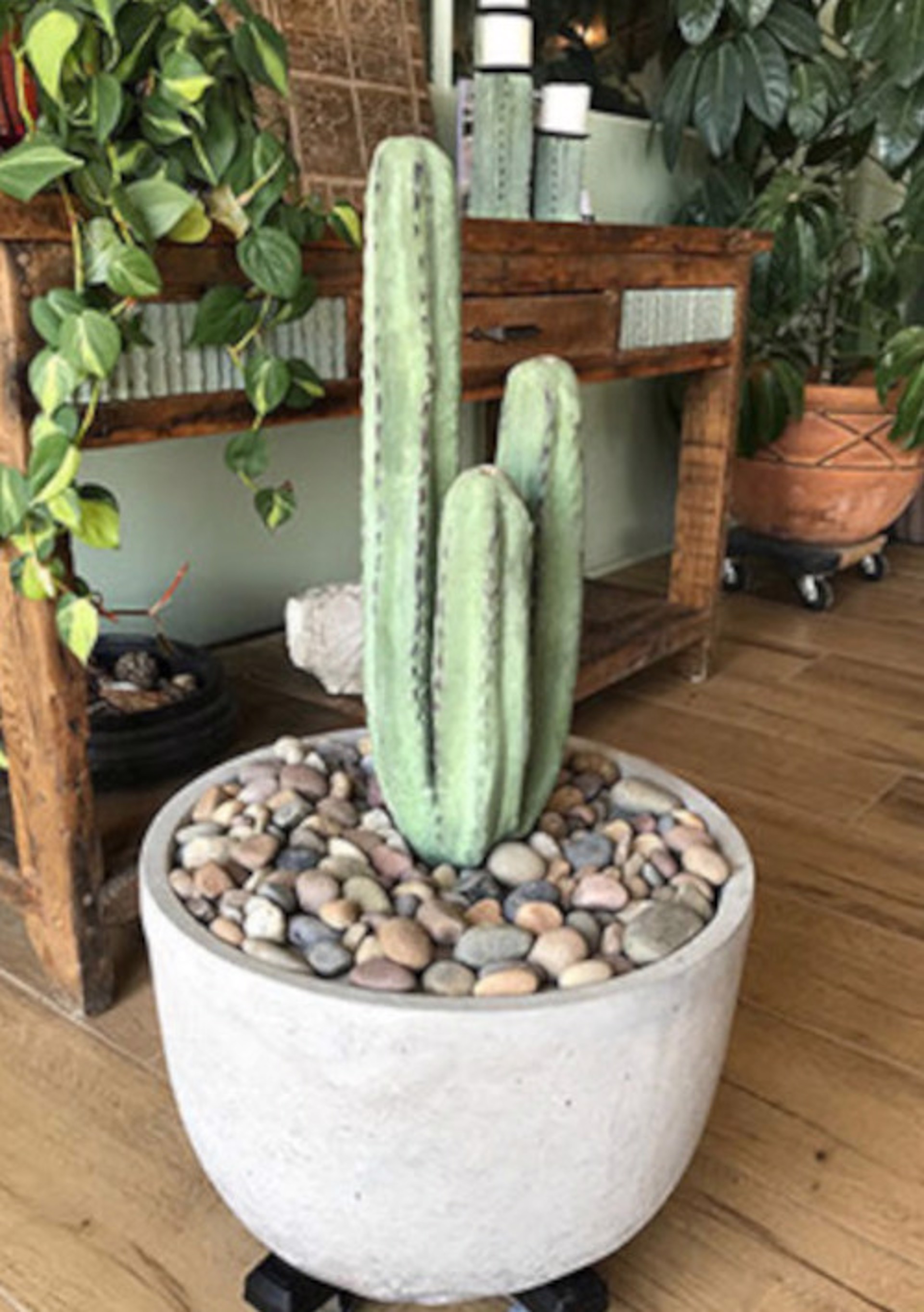 E Series Cactus Fountain by Stone Cactus