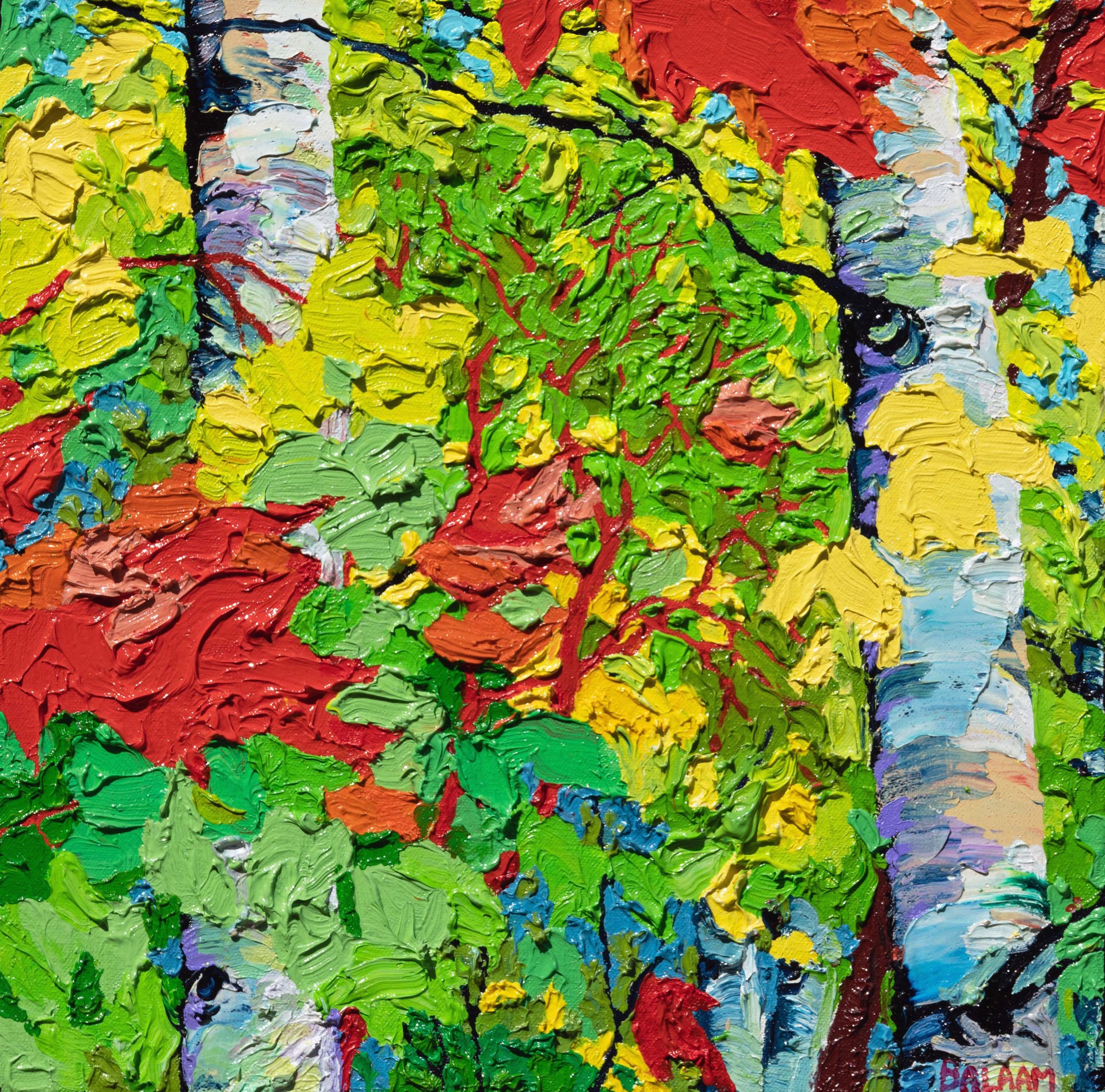 Glimpse - Every Leaf, Every Twig, Every Branch Series - Floating Maples & Birches by Frank Balaam