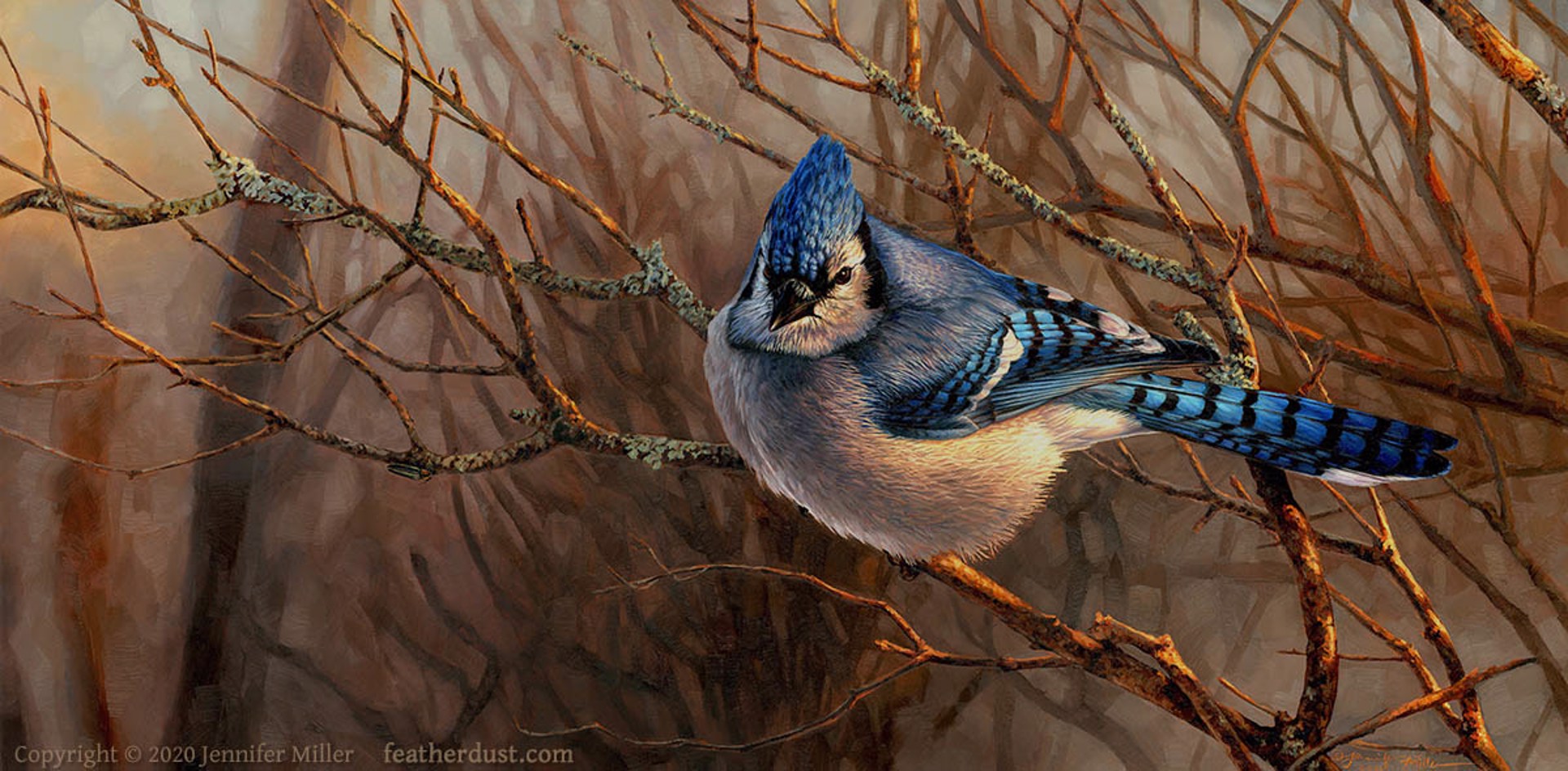 Fading Light by Jennifer Miller