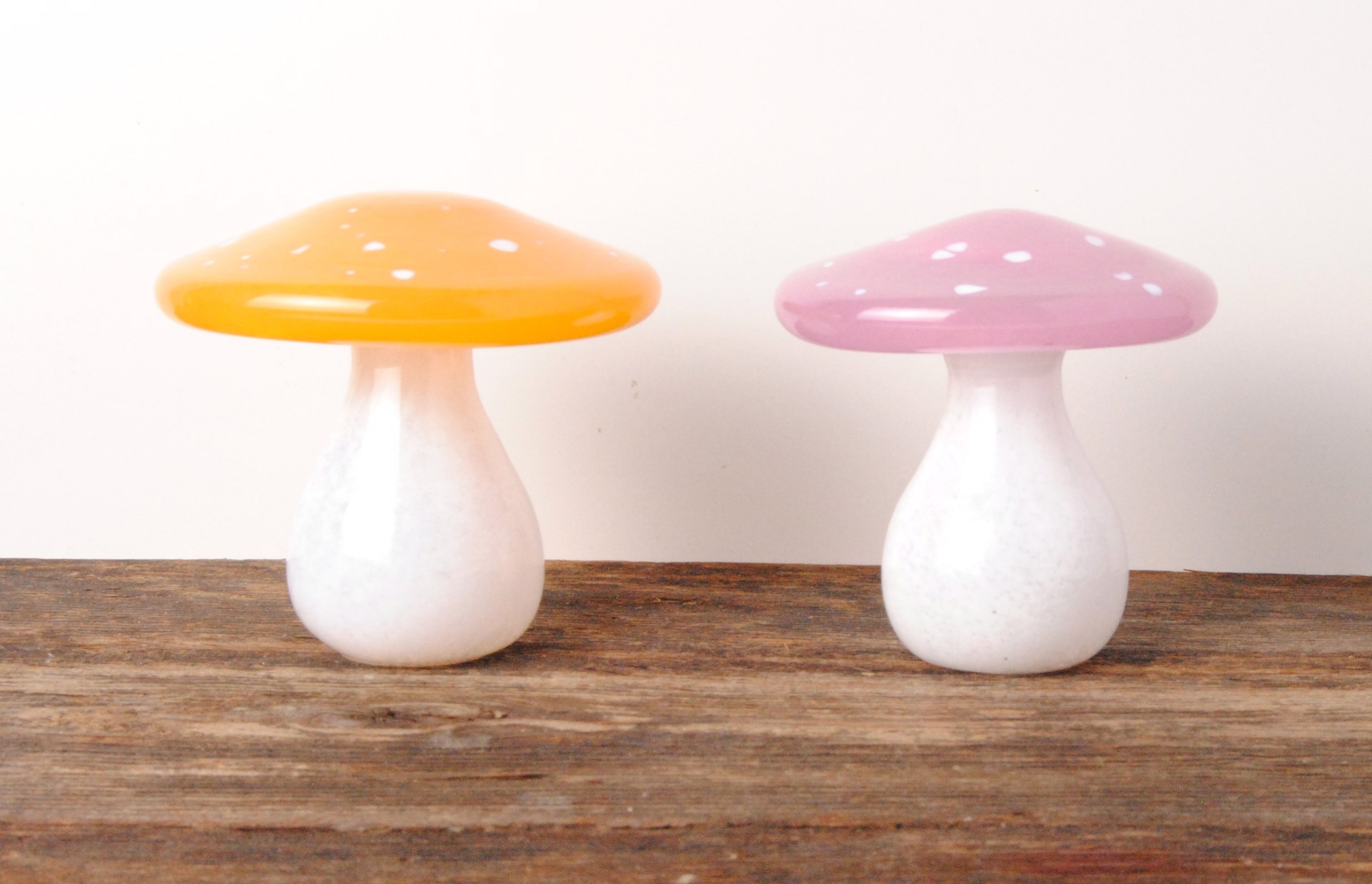 Glass Mushrooms by Courtney Downman