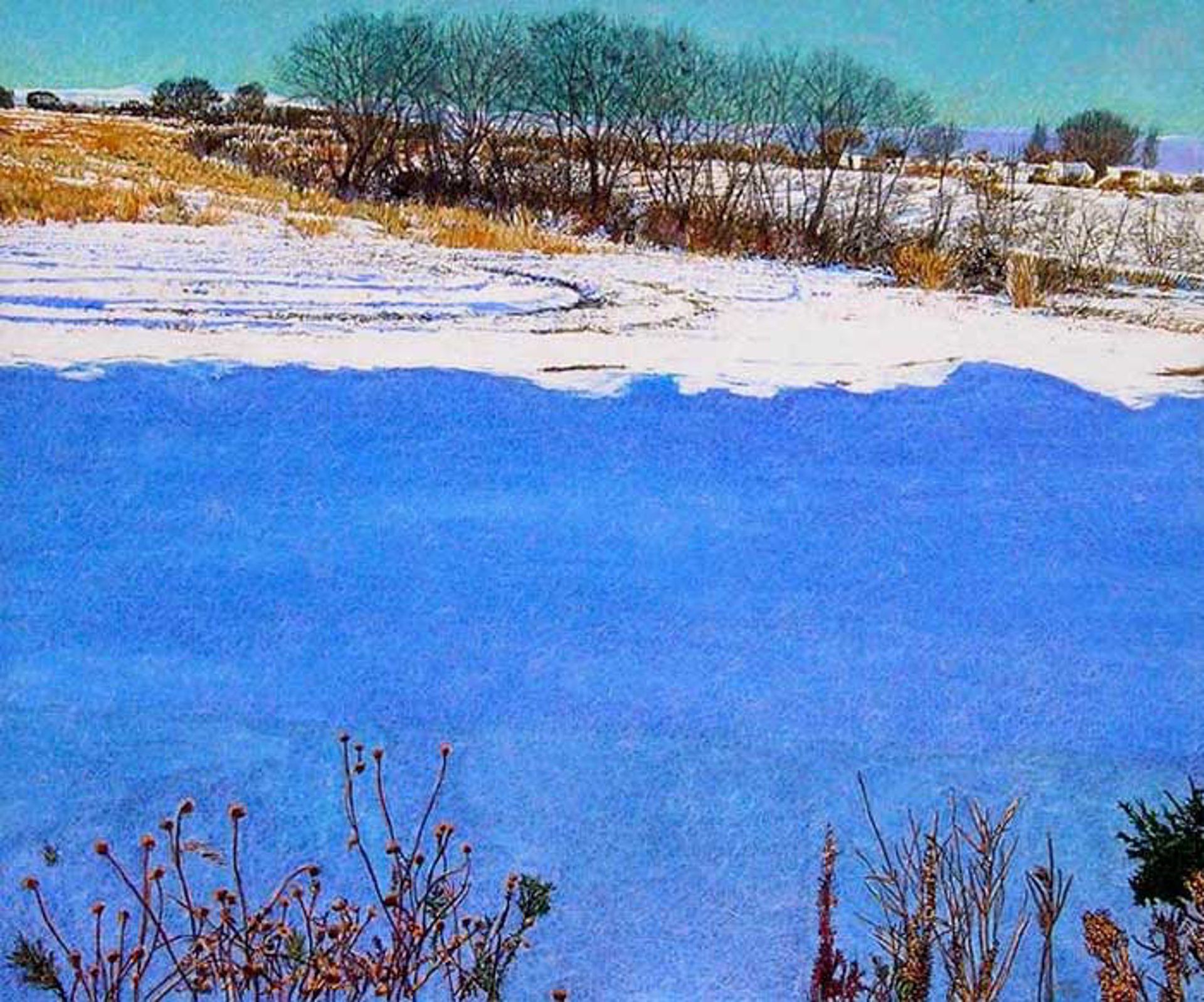 Snow Field by John Hogan