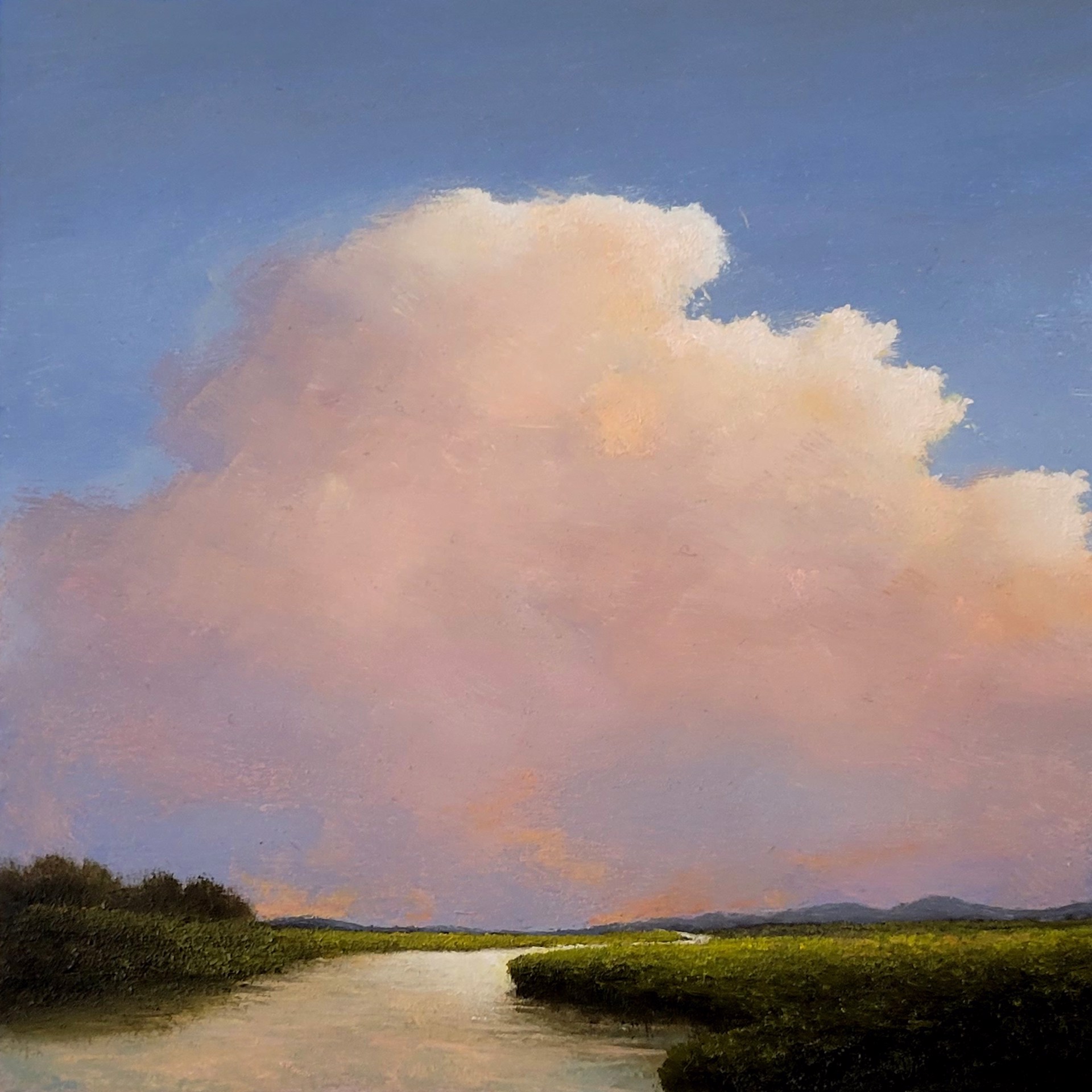 The Distant Rain by Greg Skol
