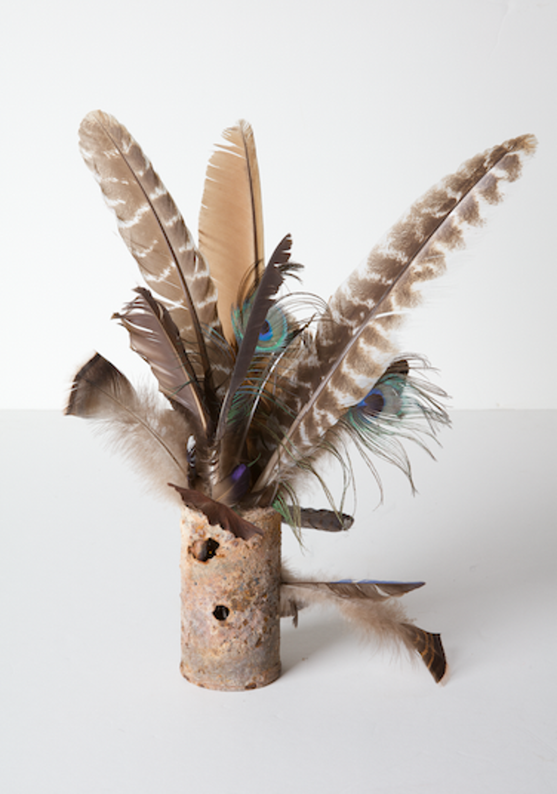 Vase with feathers by David Barnett
