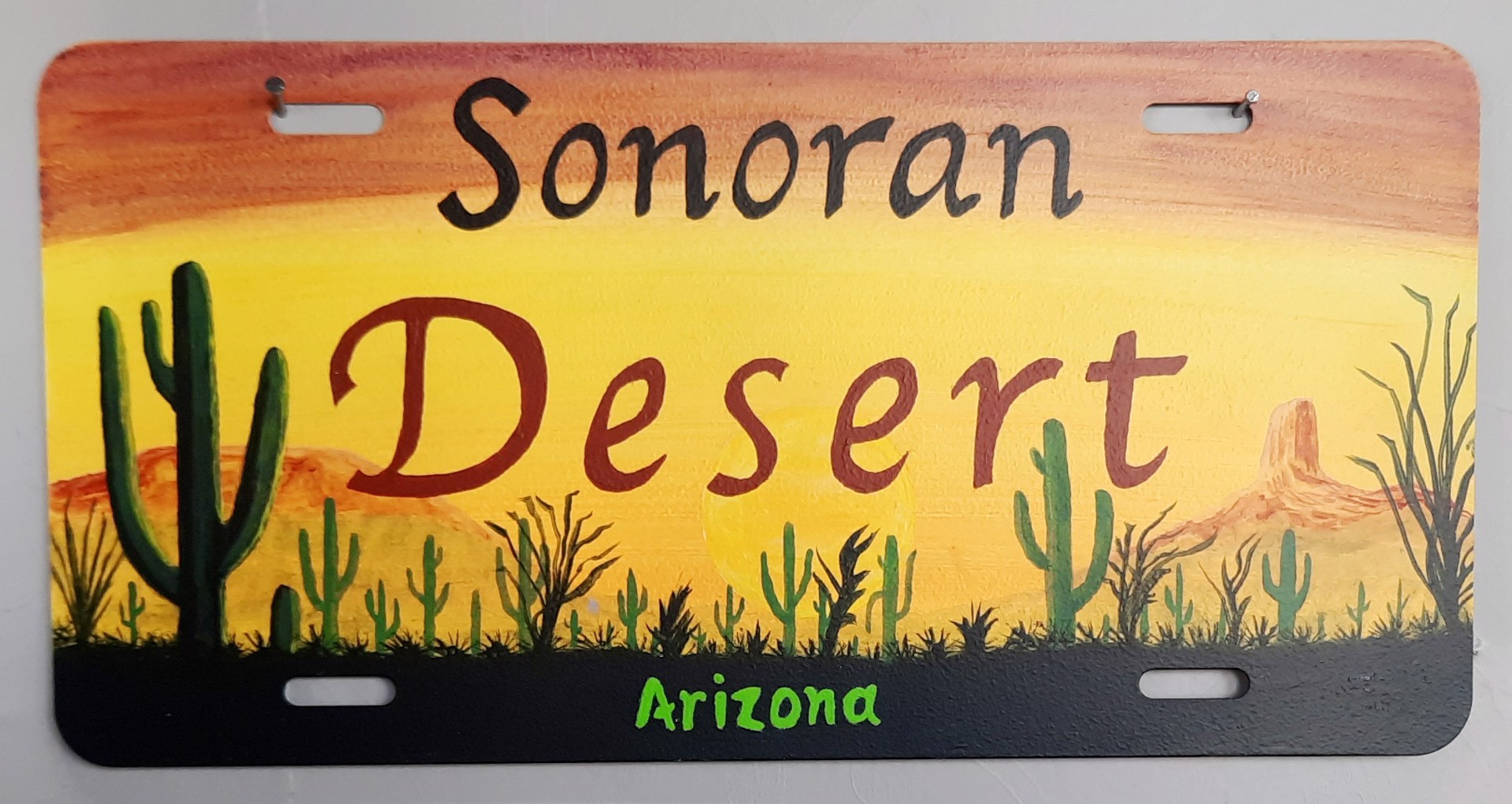 Sonoran Desert License Plate, 5021 by John Wulf