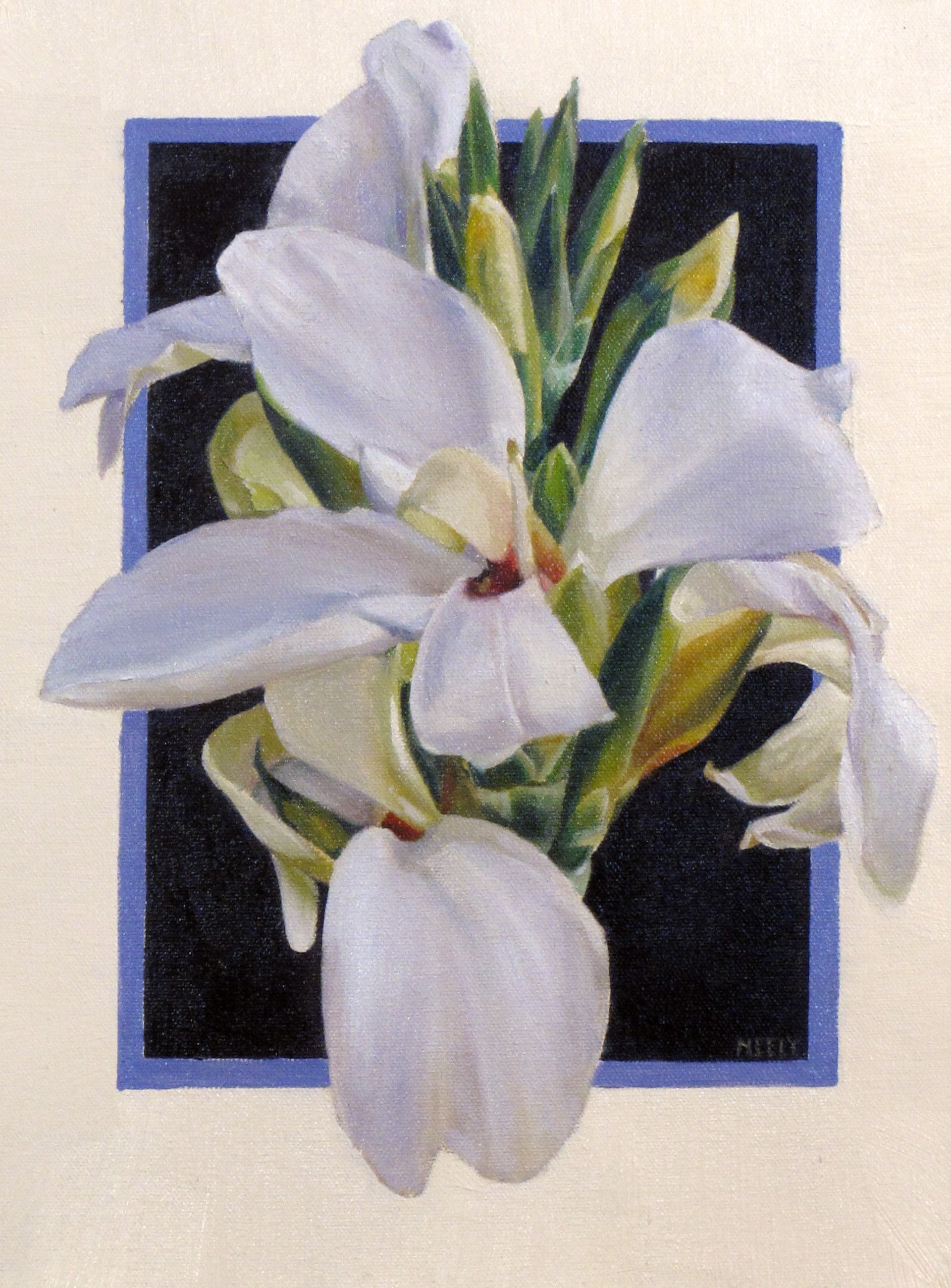White Canna Lily by Stephanie Neely