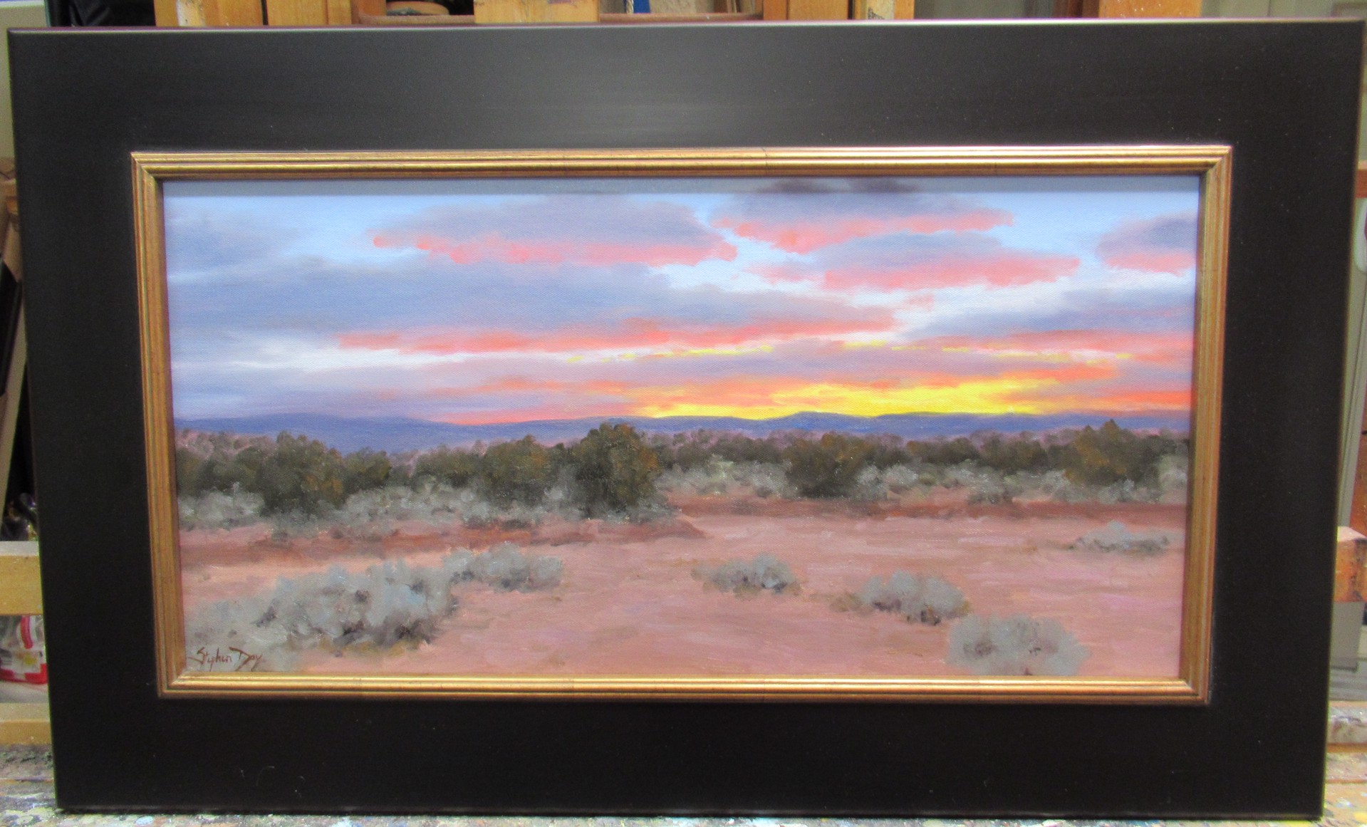 Evening Over New Mexico by Stephen Day