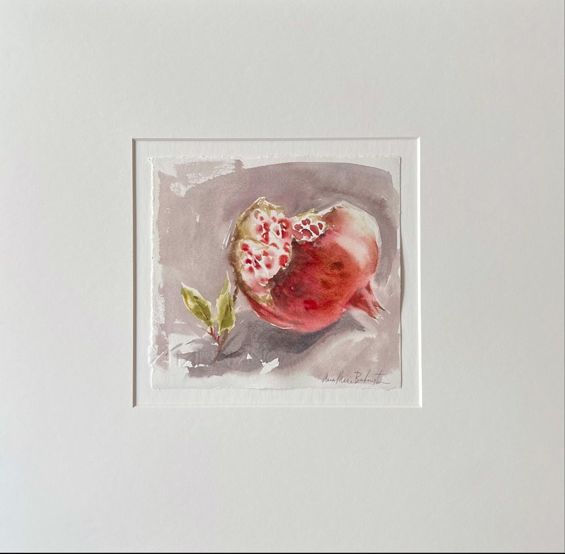 Pomegranate by Anna-Marie Babington