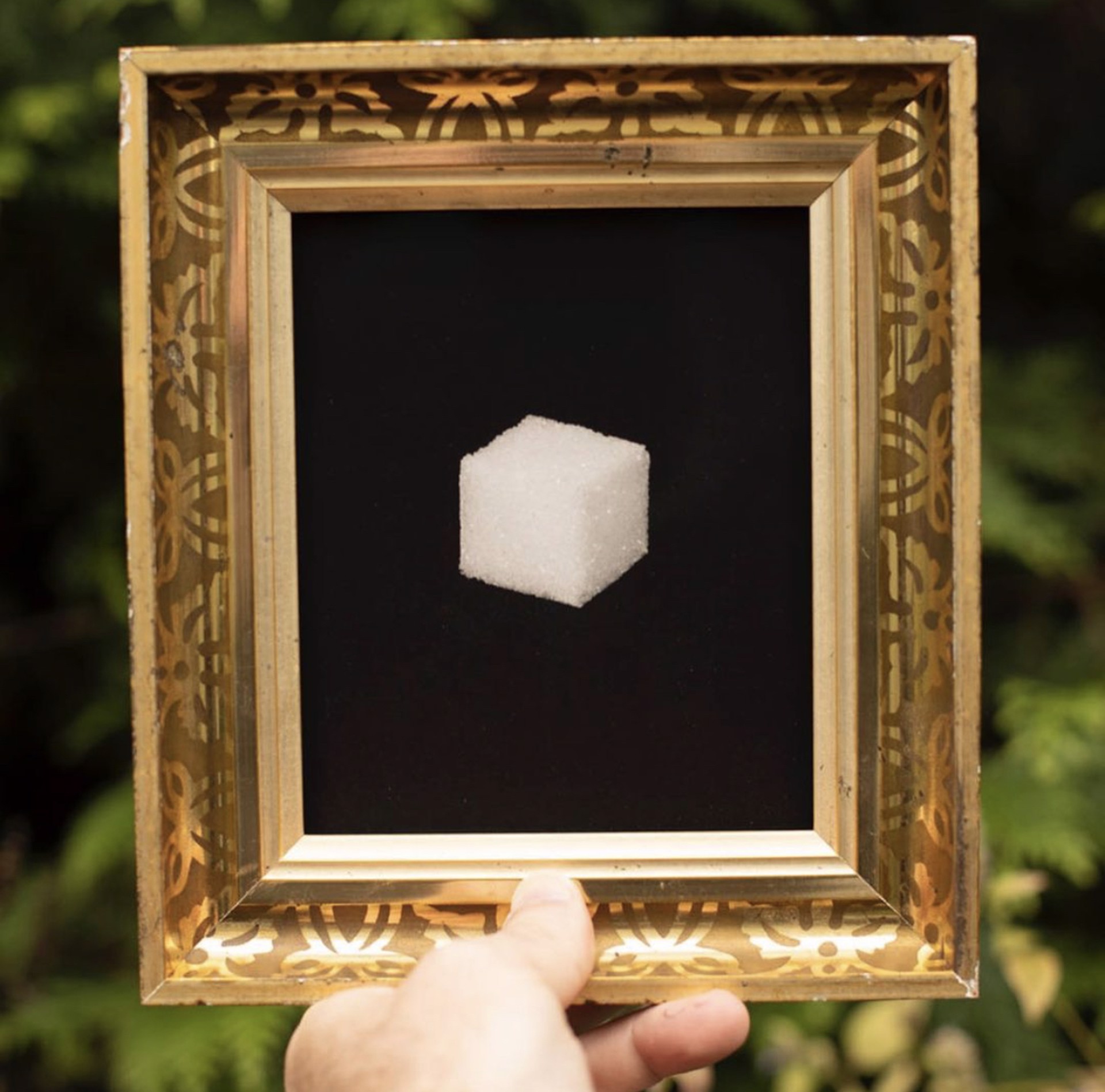 Sugar Cube by Jefferson Hayman