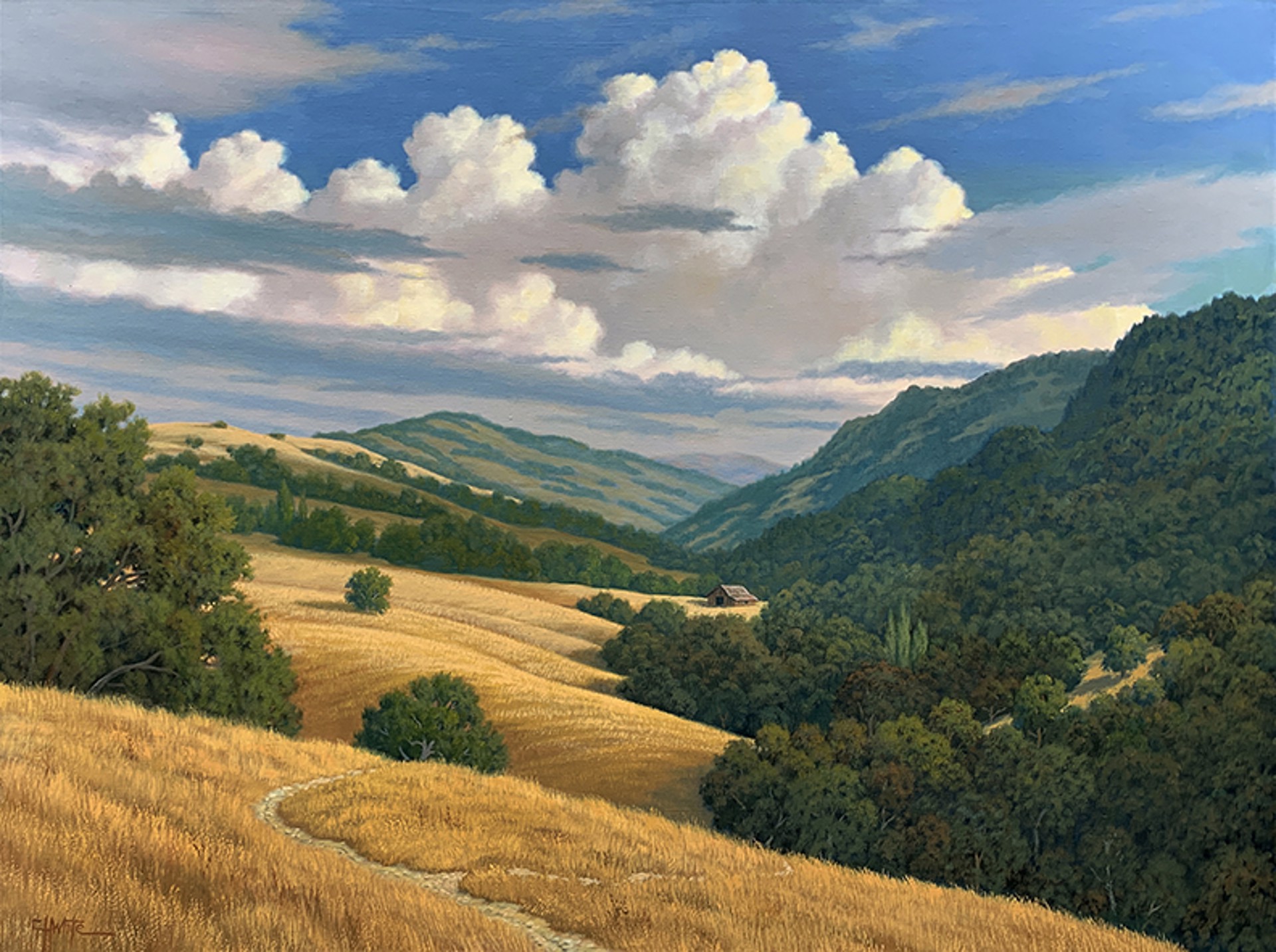 Looking Down Palomares Canyon by Charles White