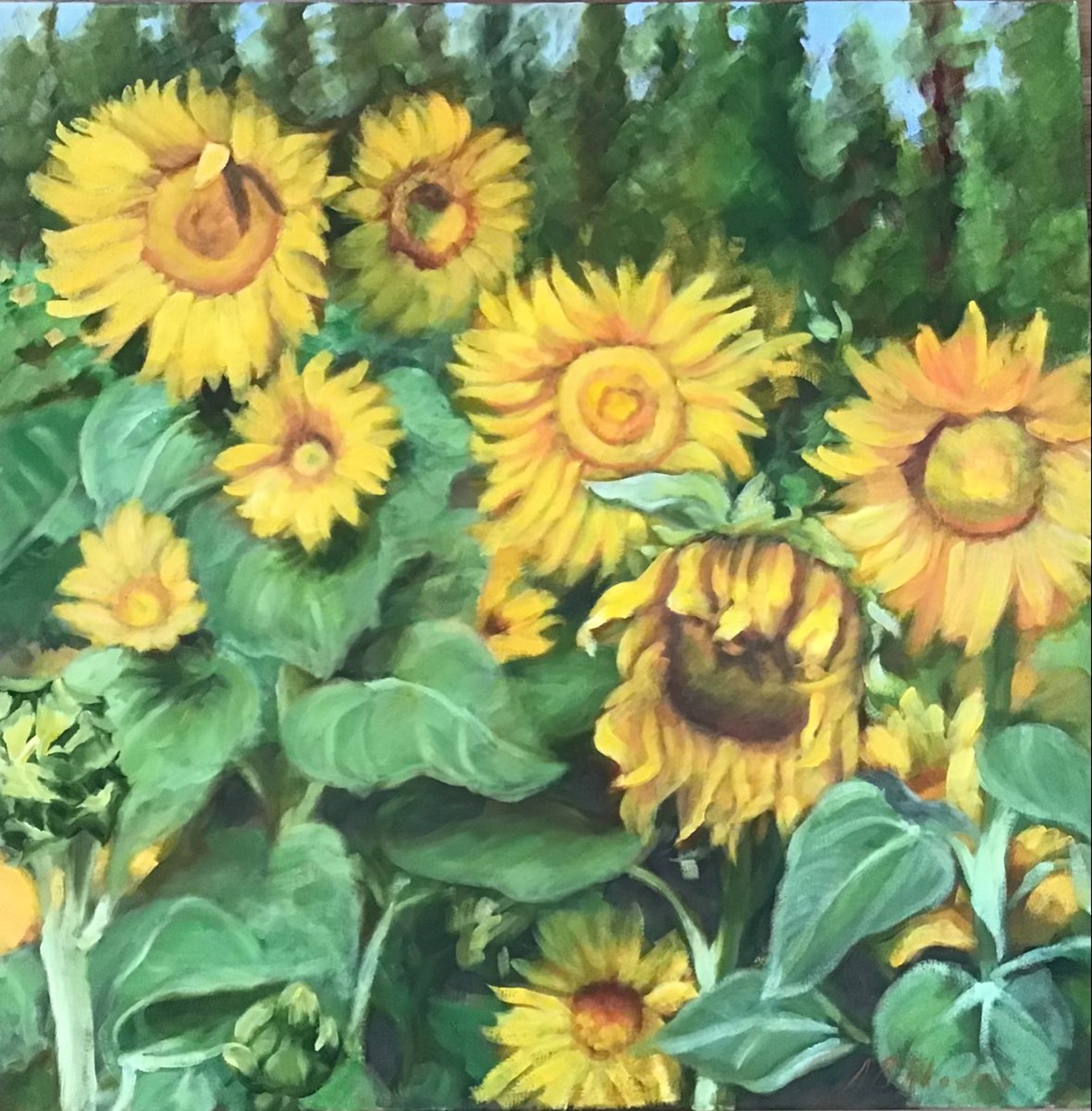Ages of the Sunflower by Ann B. Rhodes