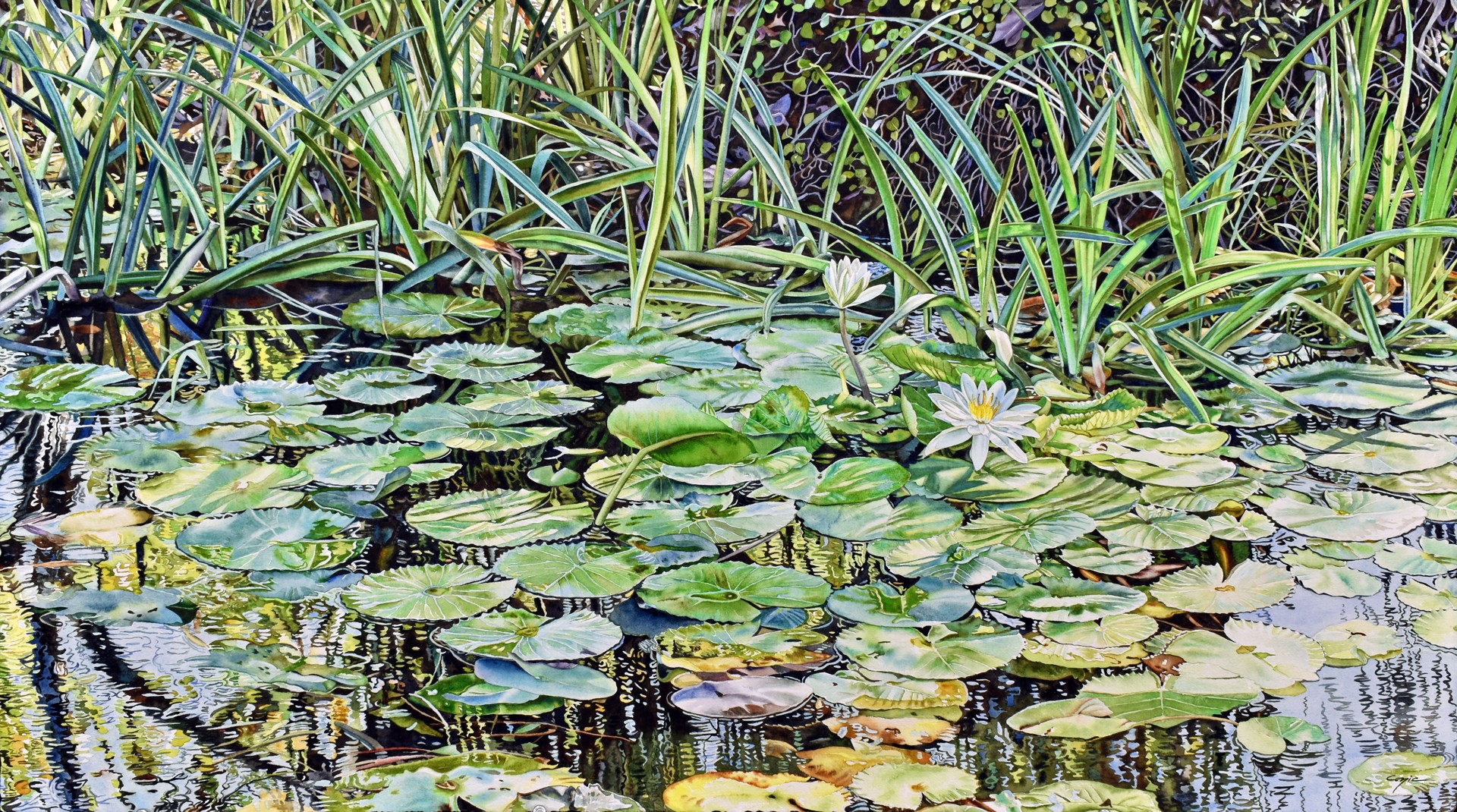 A Small Pond by Christine Cozic
