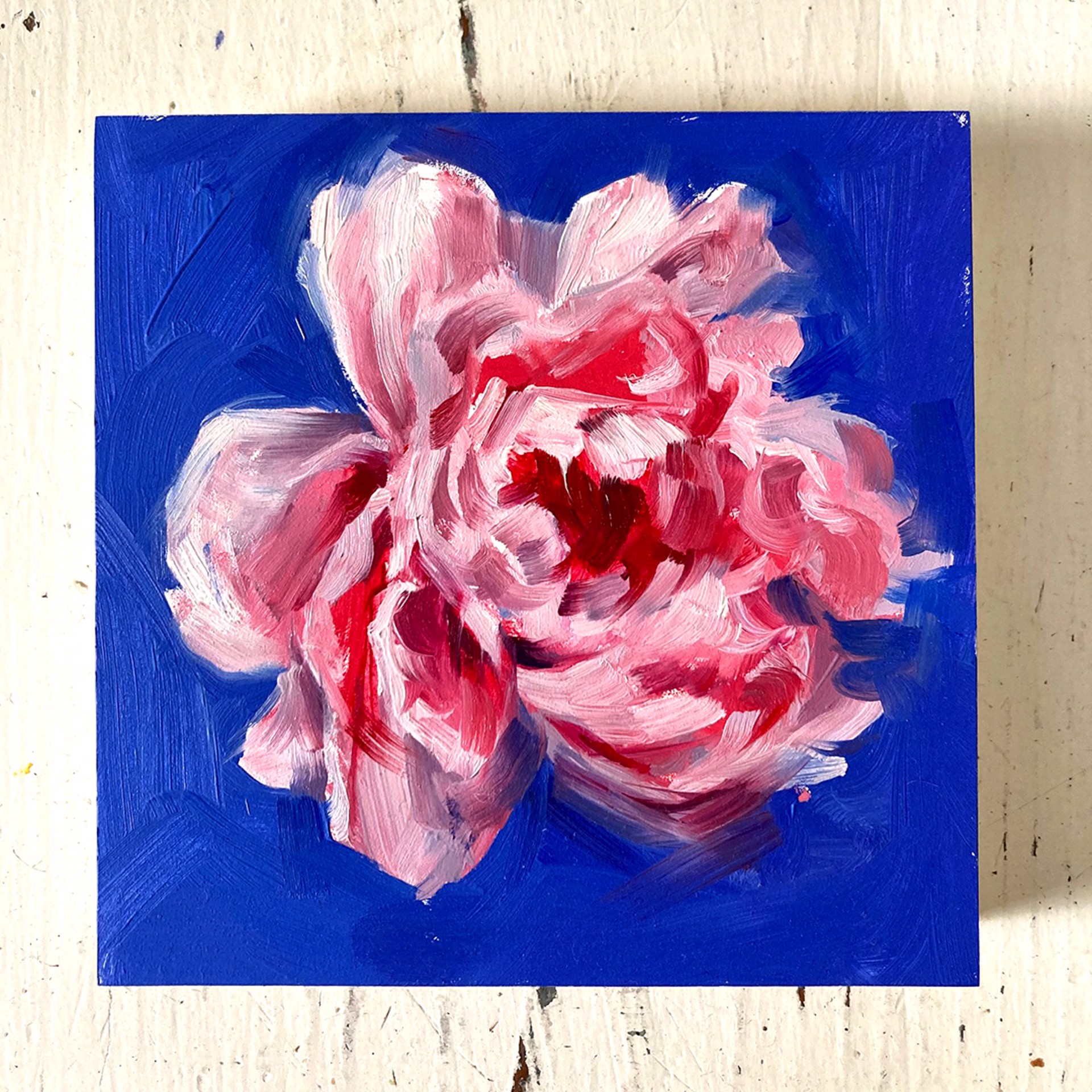 Peony Project #11 by Amy R. Peterson*