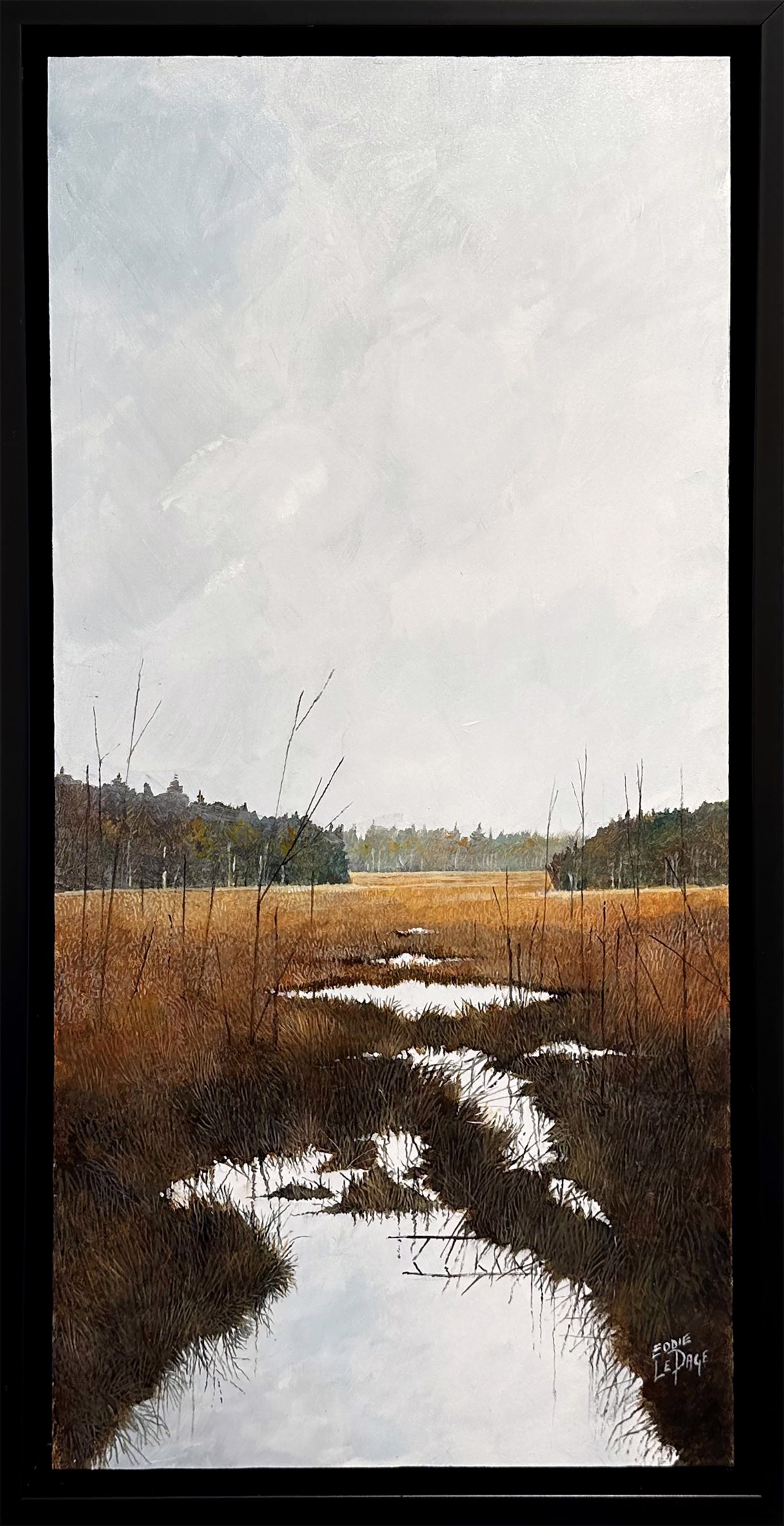 Fall Marsh by Eddie LePage