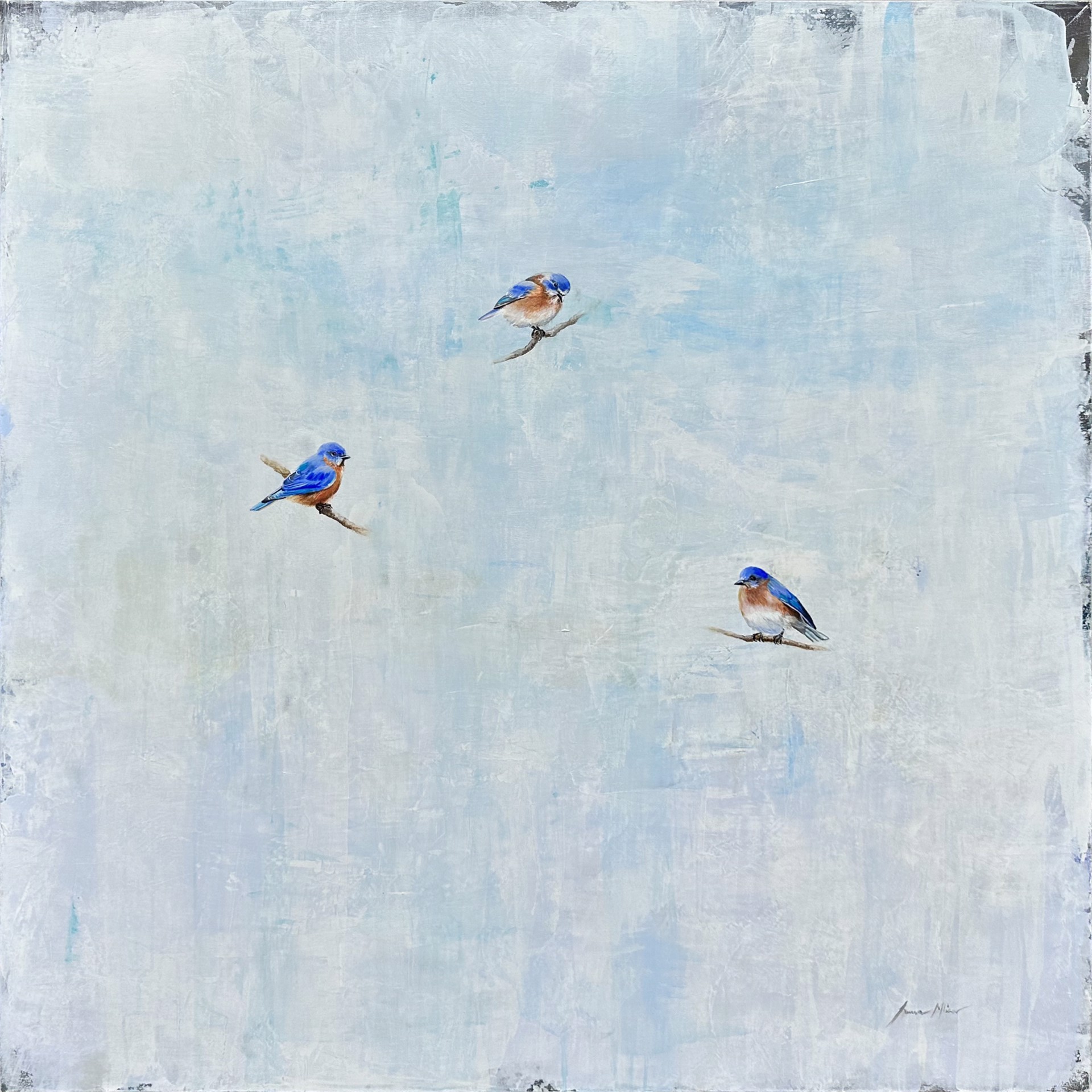 Bluebirds by Ivana Mlinar