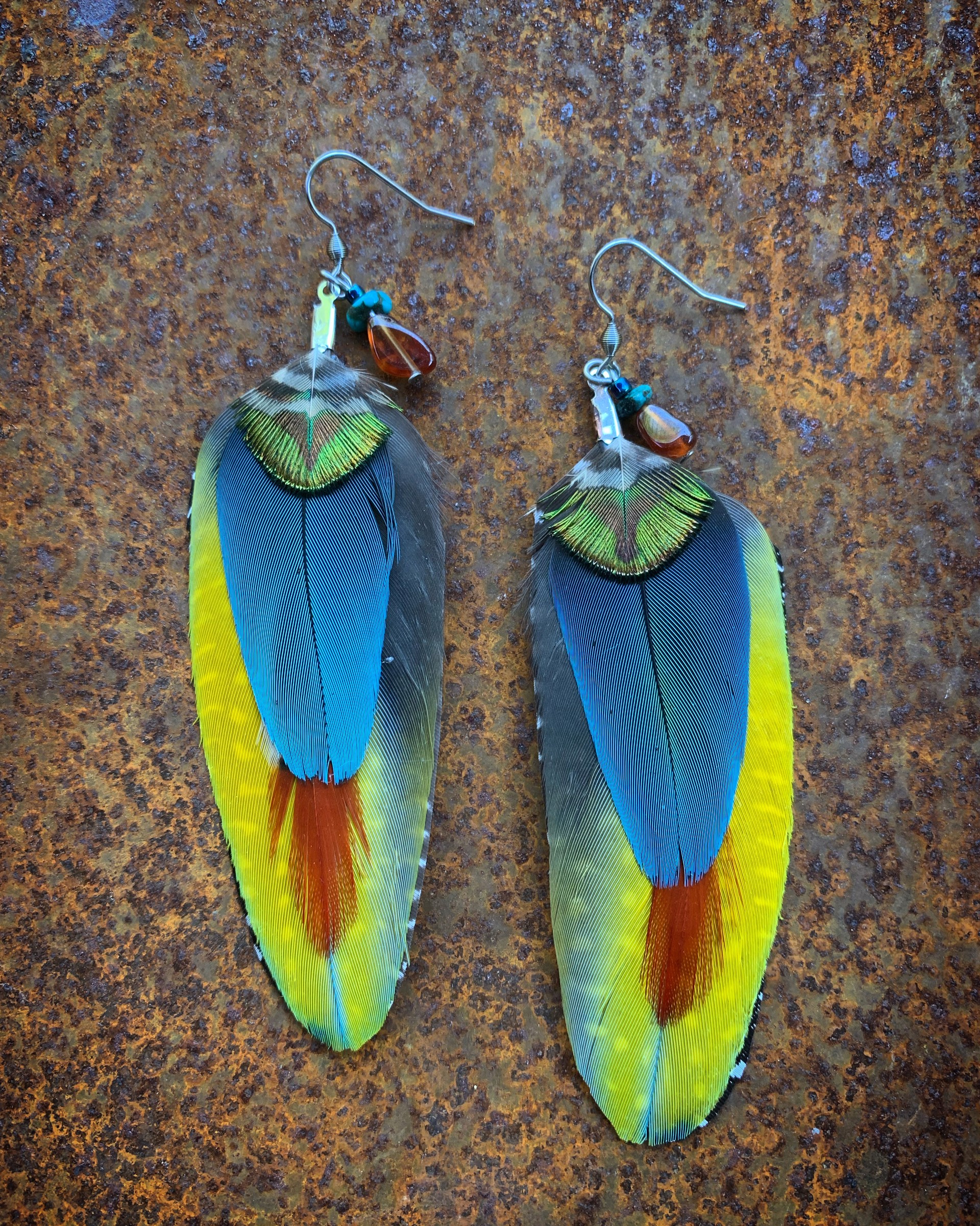 K653 Yellow and Blue Parrot Earrings by Kelly Ormsby