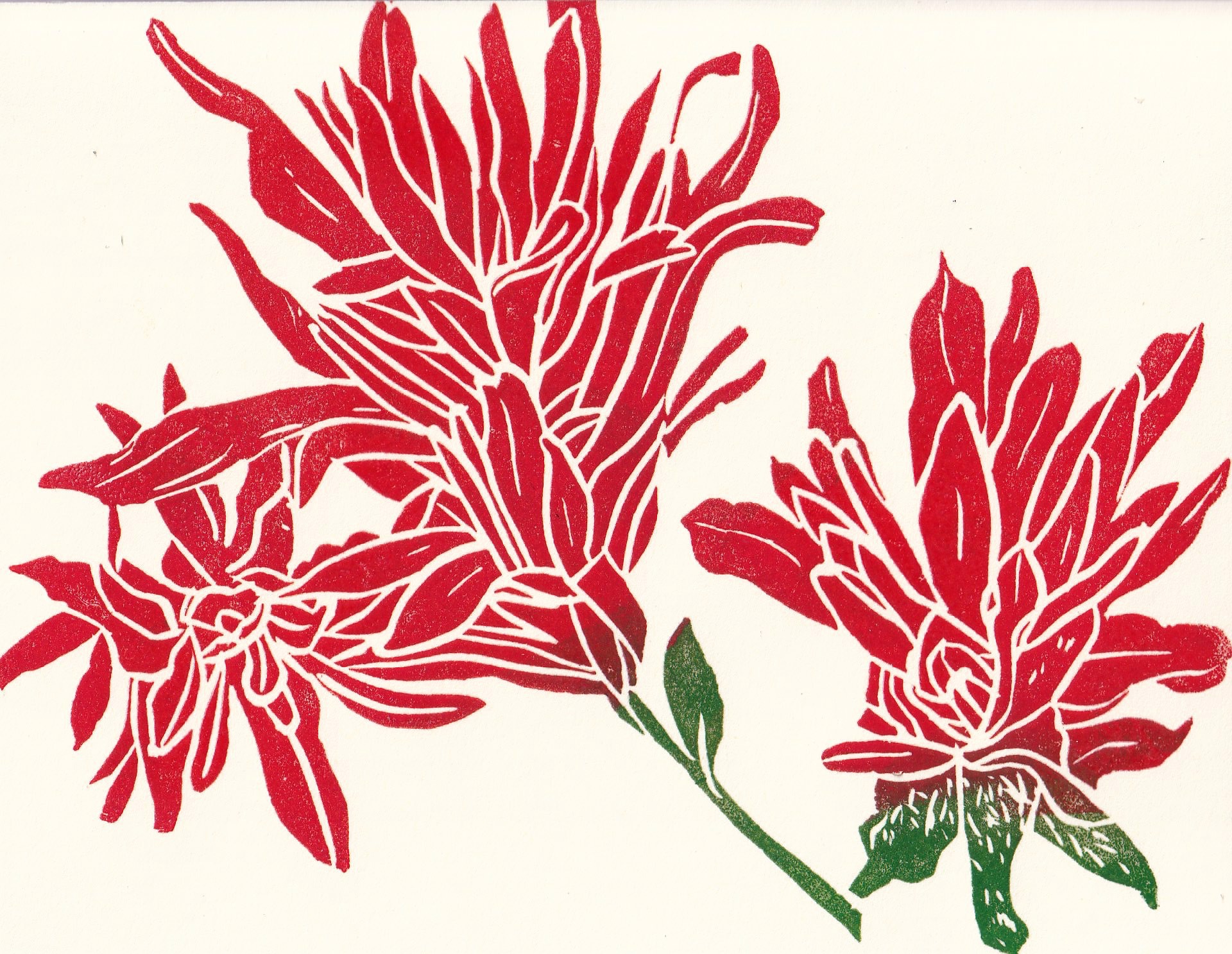Indian Paintbrush Card by Kat Kinnick