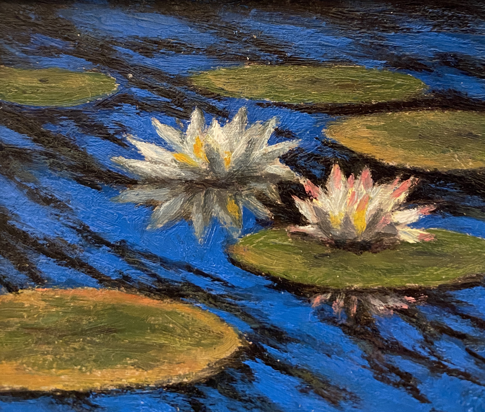 Lily Pond by Ben Xu