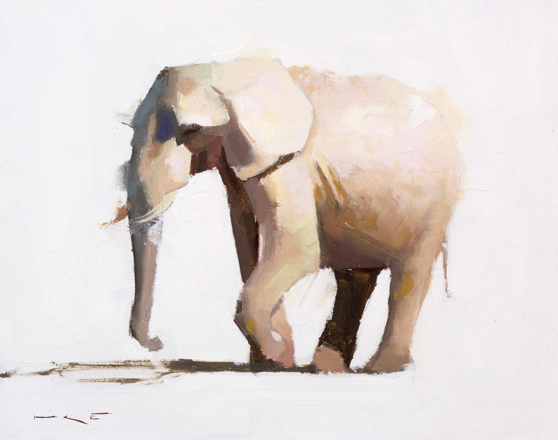 My Lovely Elephant by Thorgrimur Einarsson