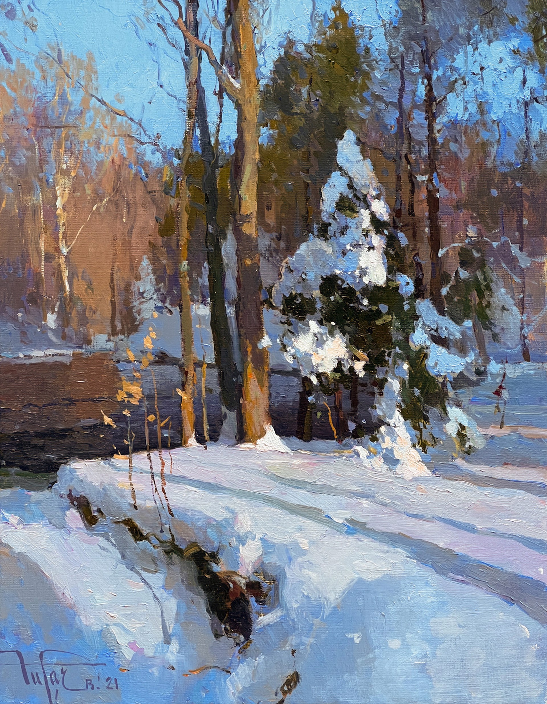 Fresh Snow by Zufar Bikbov