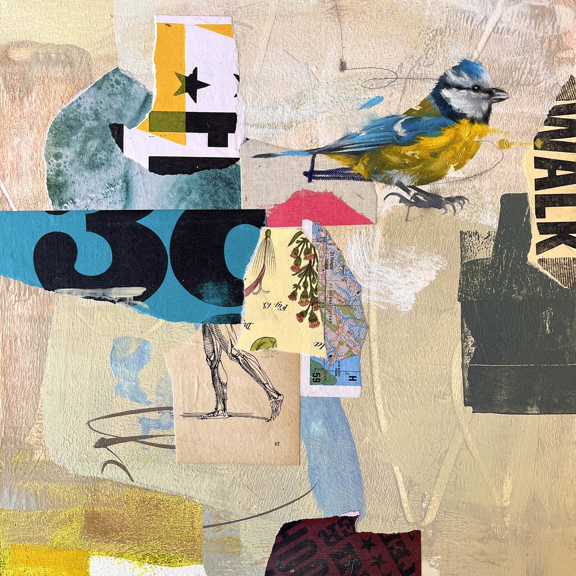 Original Mixed Media Painting Featuring A Yellow And Blue Bird Over Abstract Background With Collage