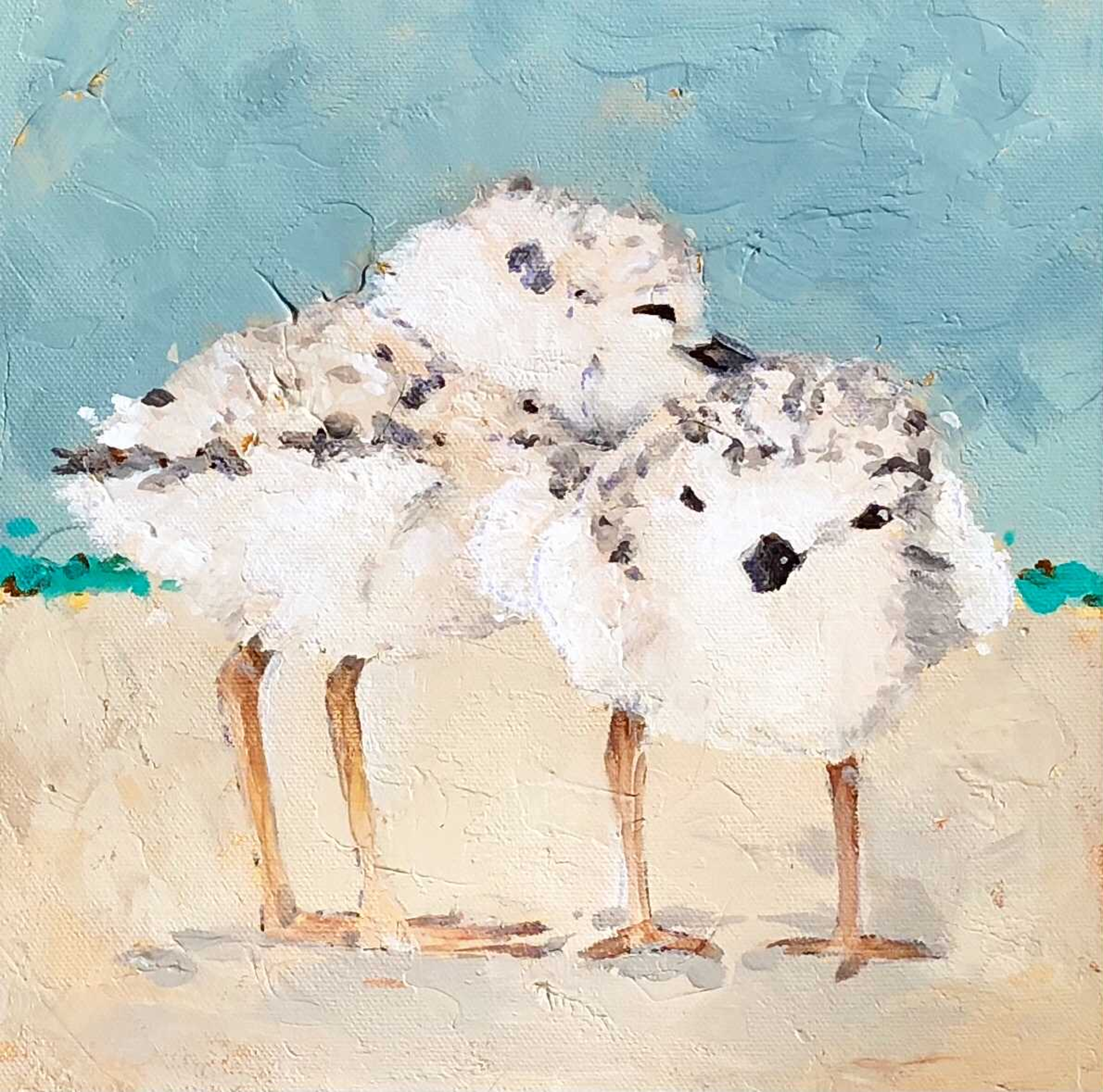 Piping Plover on Teal; 2 of 3 by Laura Palermo - Giclee Prints