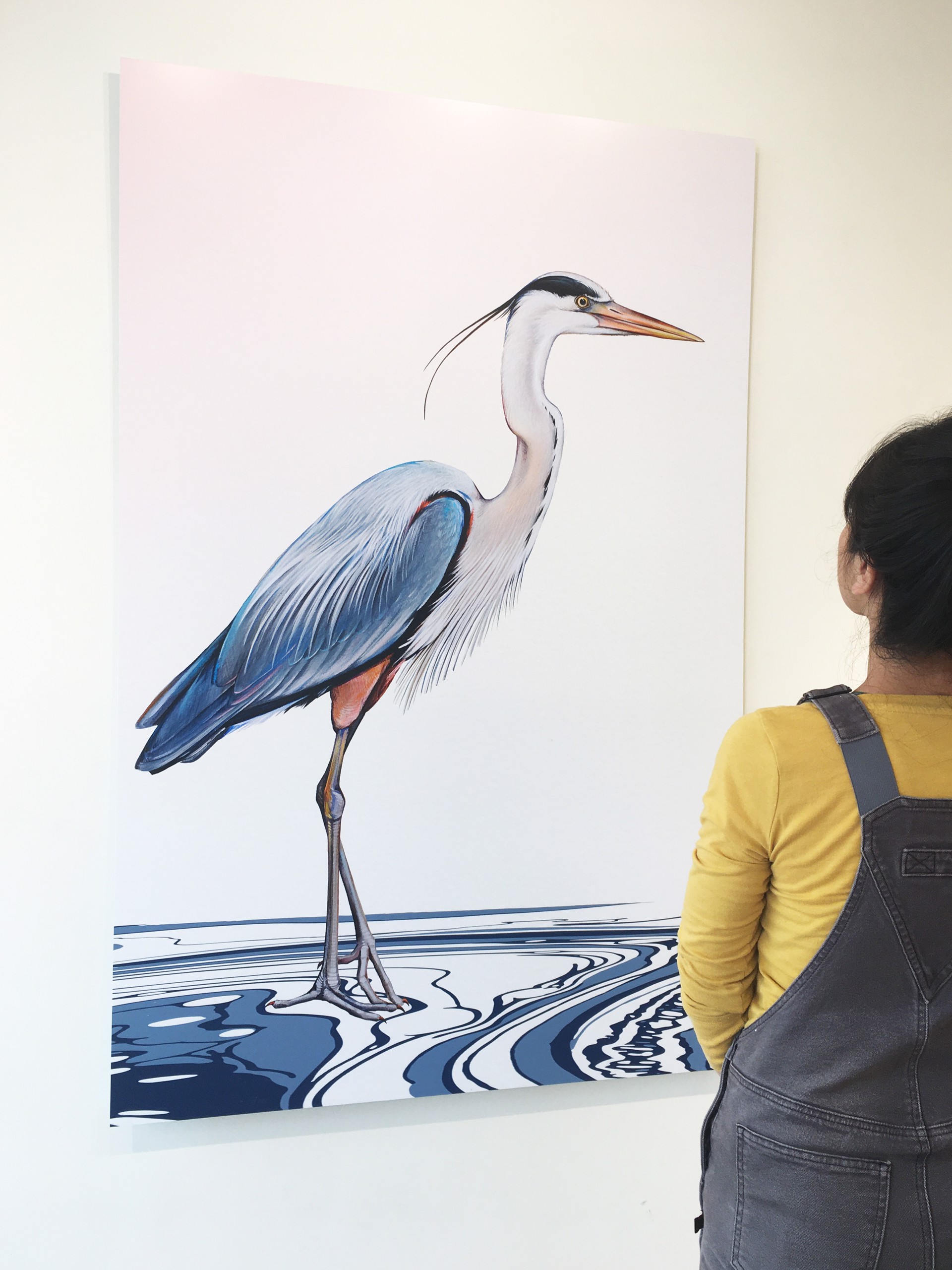 Great Blue Heron by Jane Kim