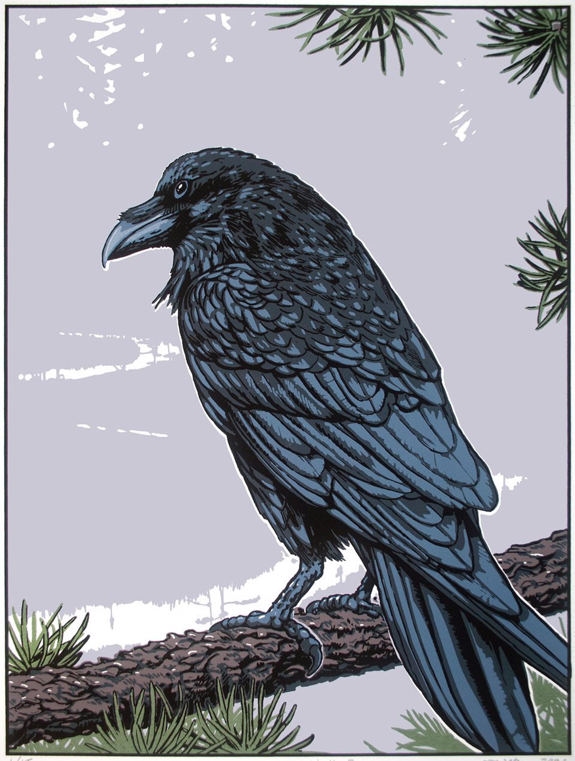 Gaagaagi, the Raven by John S. Miller