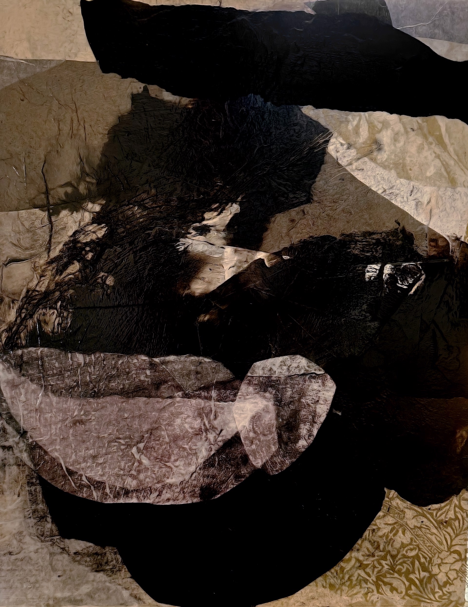 Pirogue Study I by Meredith Pardue