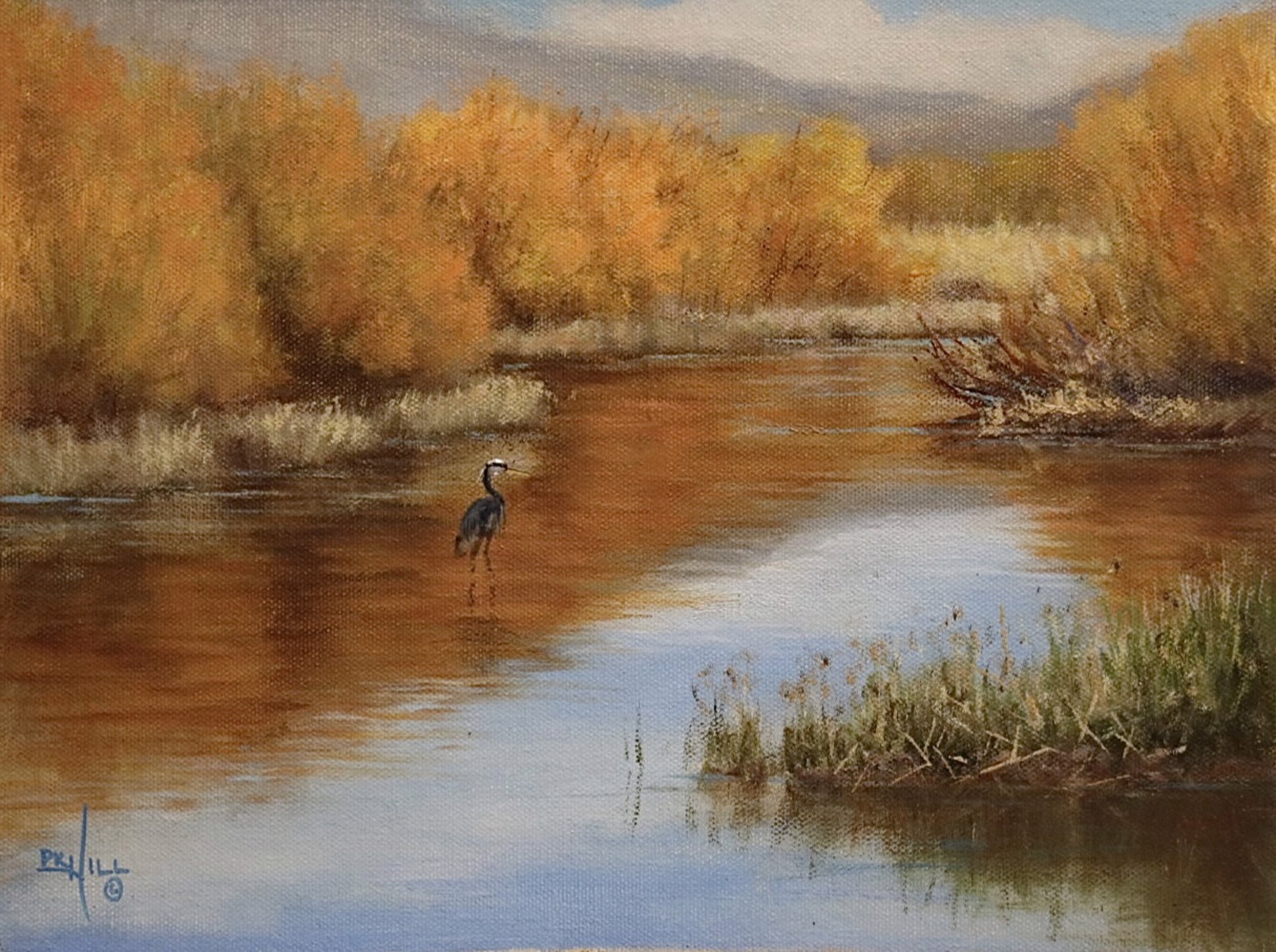 Rock Creek Heron by Paul Hill