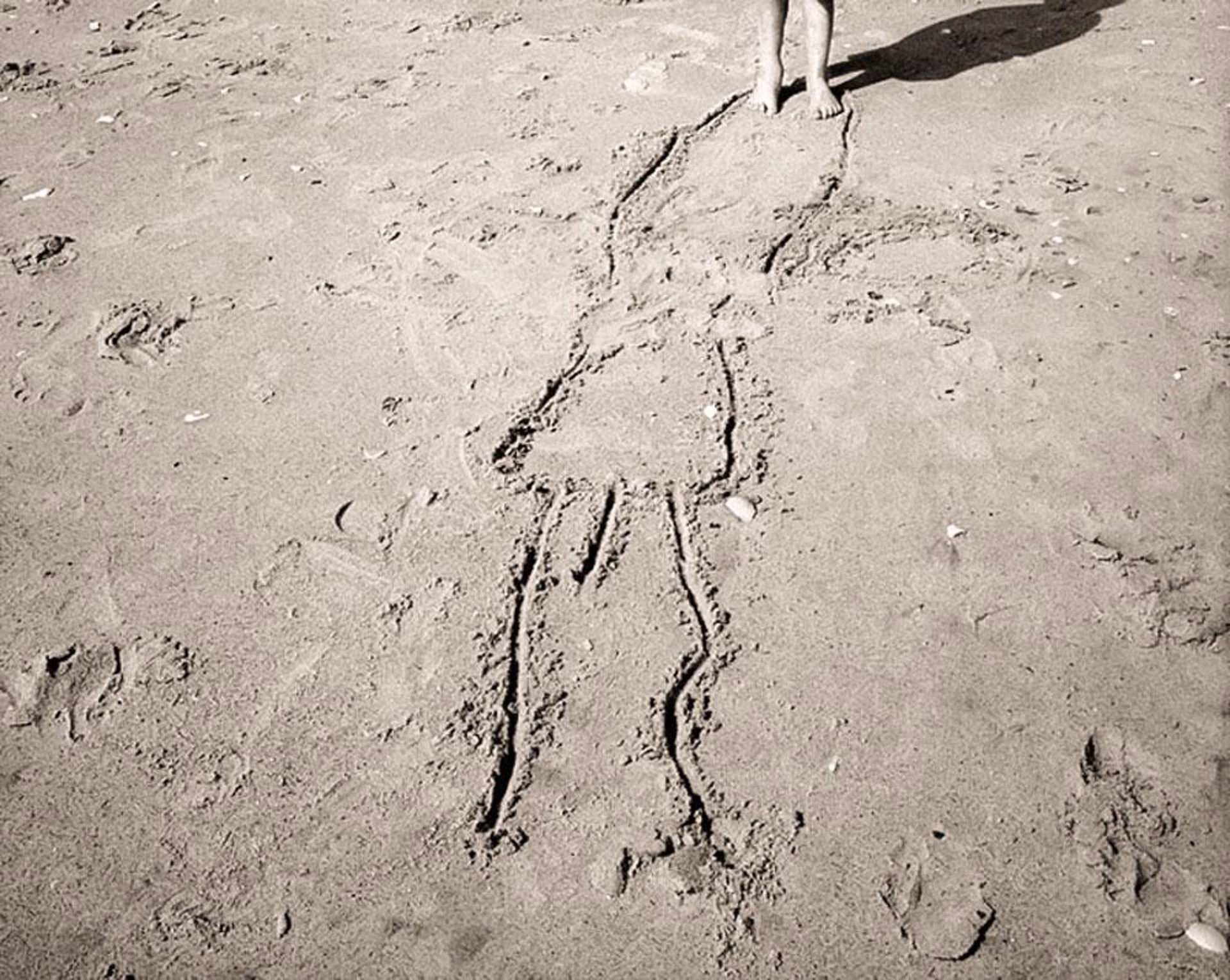 (#140) Wylie Drawing With Penis, Edisto Island, SC by Frank Hunter