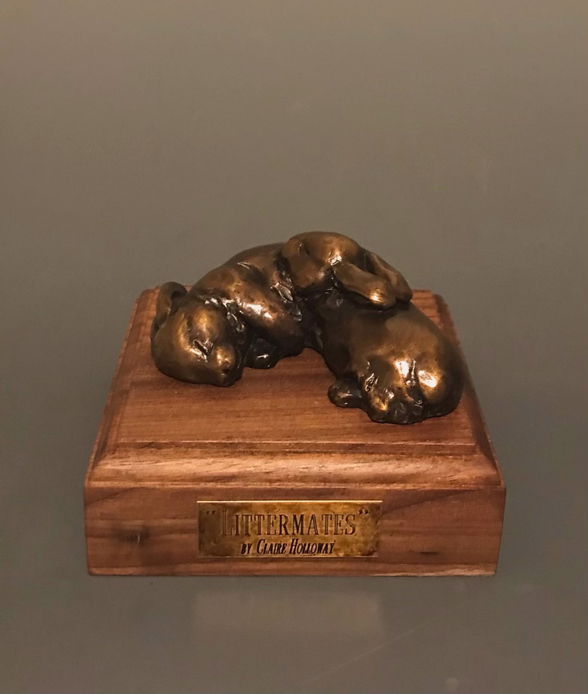 Littermates ( Bronze) by Claire Holloway