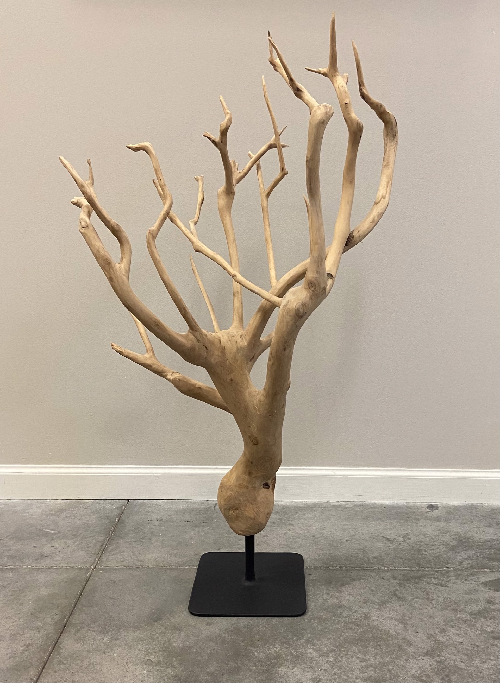 Teak Root Sculpture by Sculpture