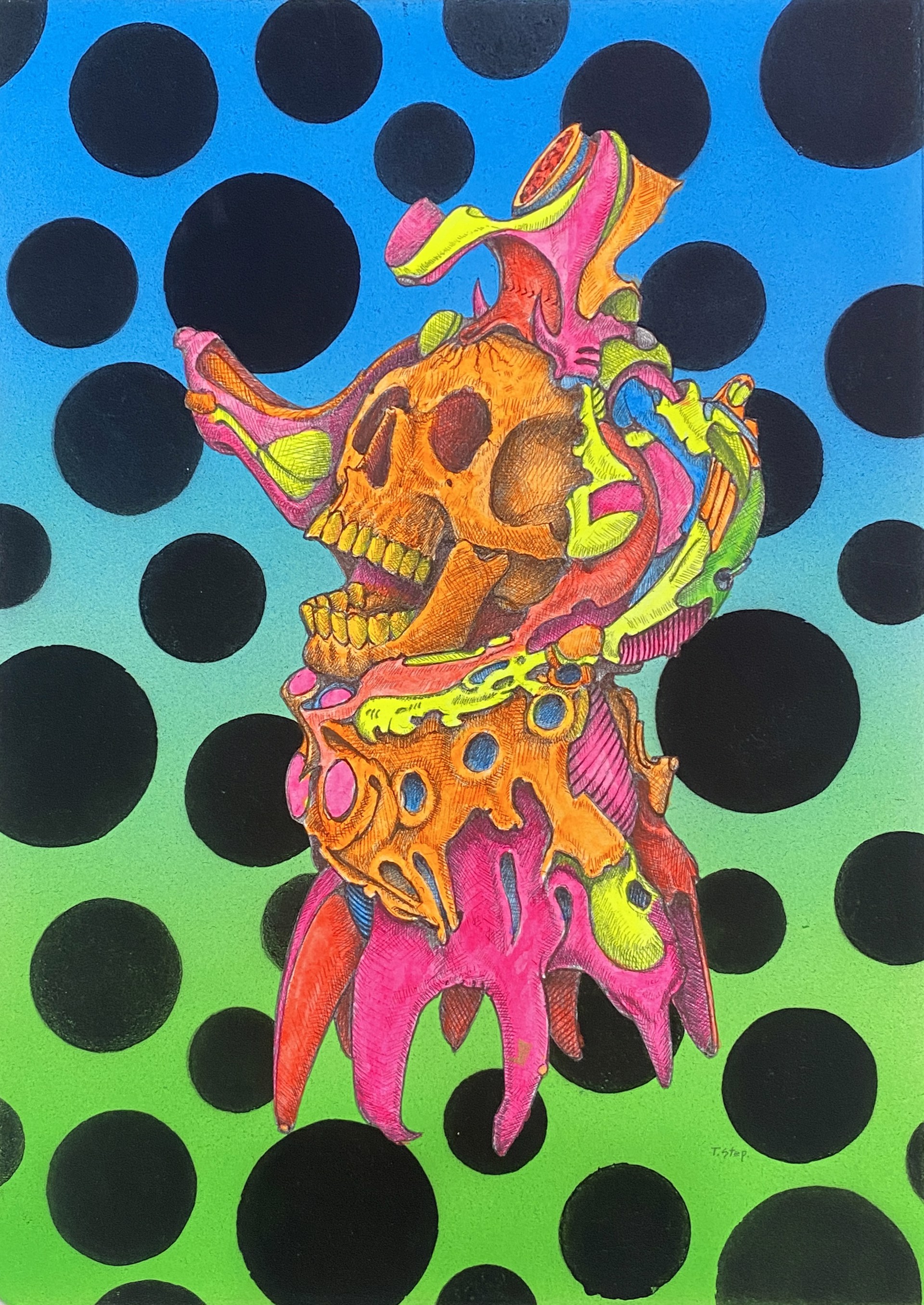 Skull Study #6 by Tom Stephenson