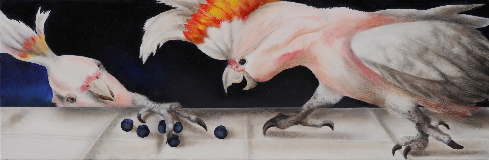 Blueberries and Cockatoos by Adrienne Sherman