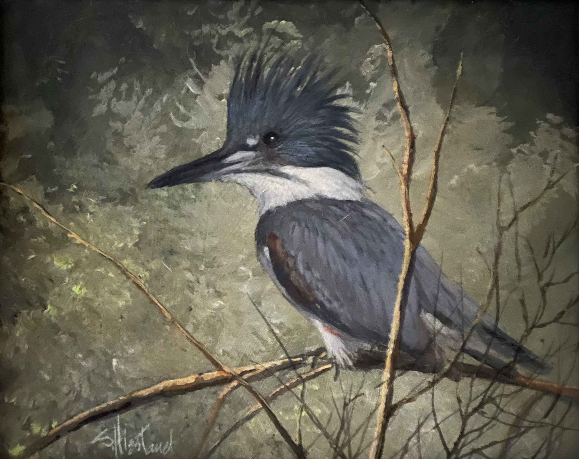 Kingfisher by Scott Hiestand