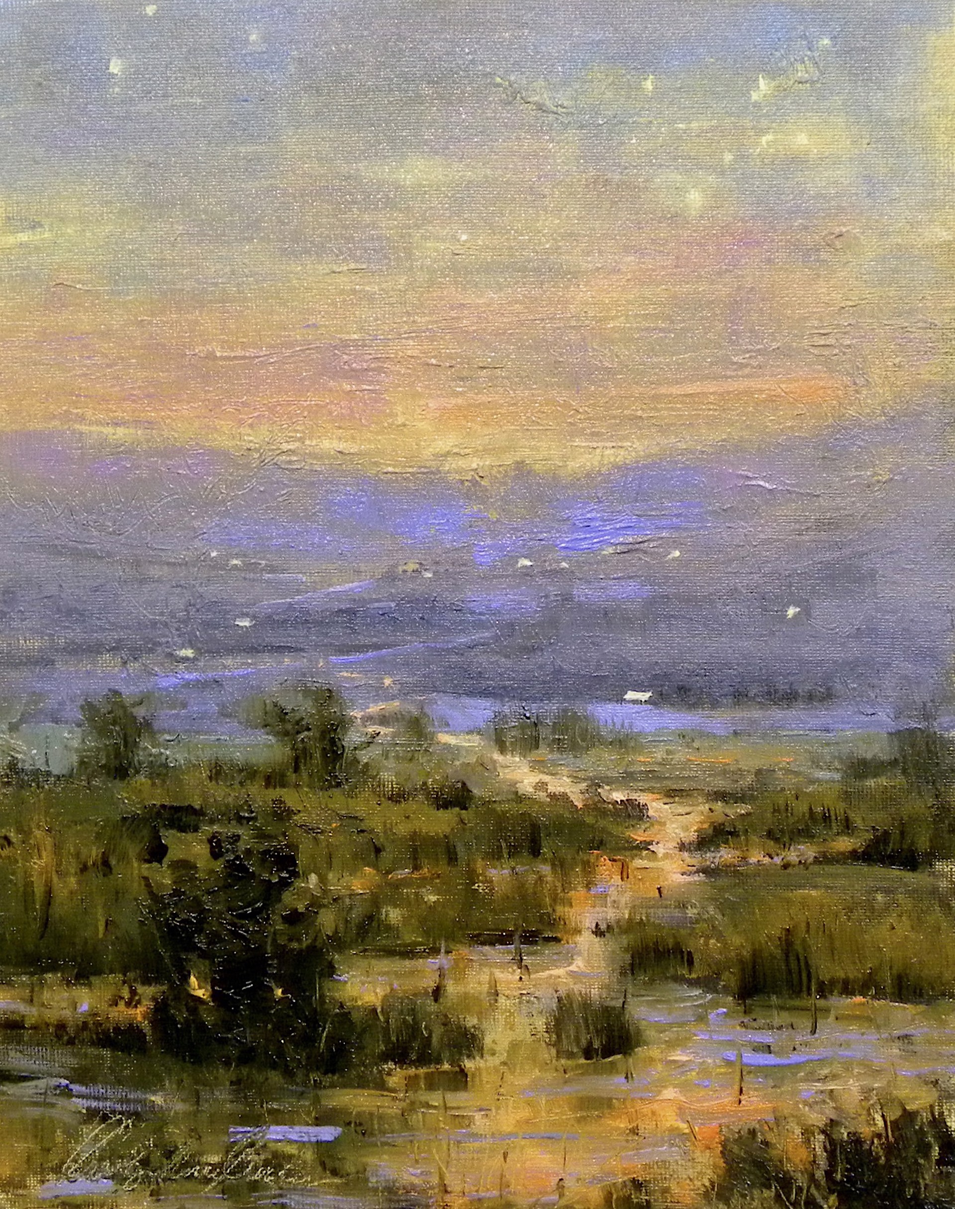 Evening Marsh by Carolyn Crocker (Rue)
