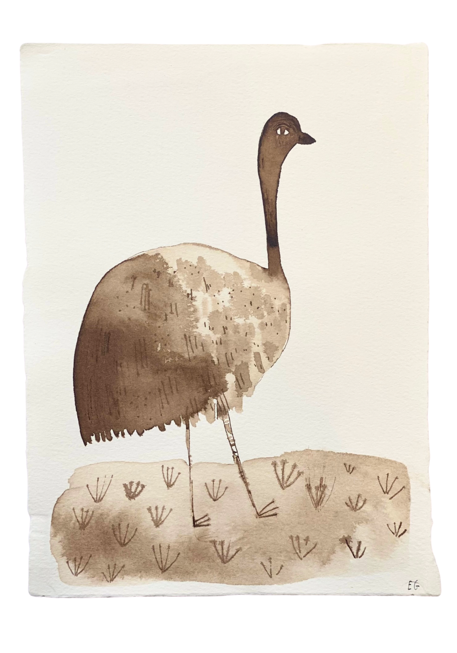 Brown Inkwash Bird #3 by ELIZABETH GRAEBER