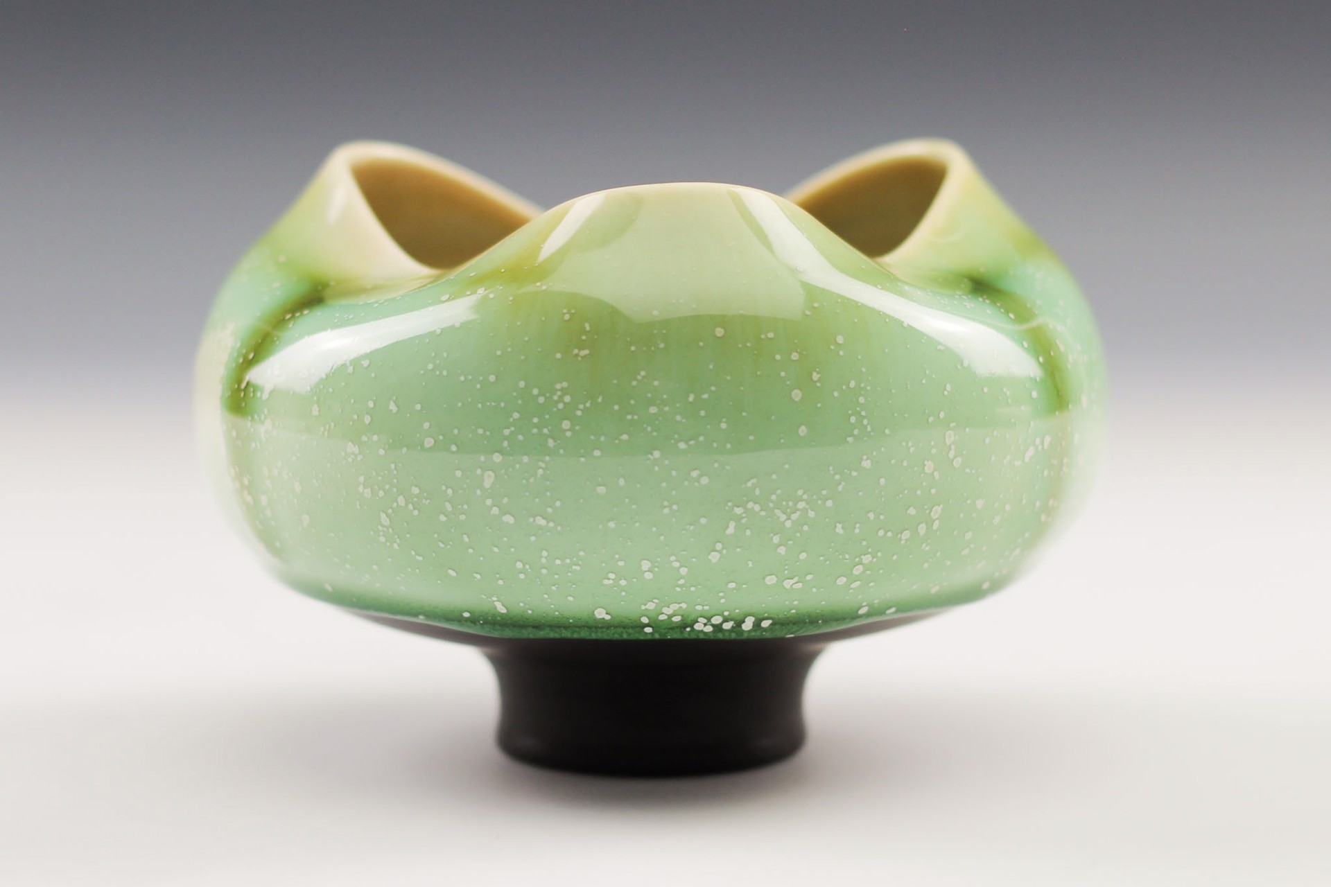 Shiny Jade Tea Bowl by Charlie Olson