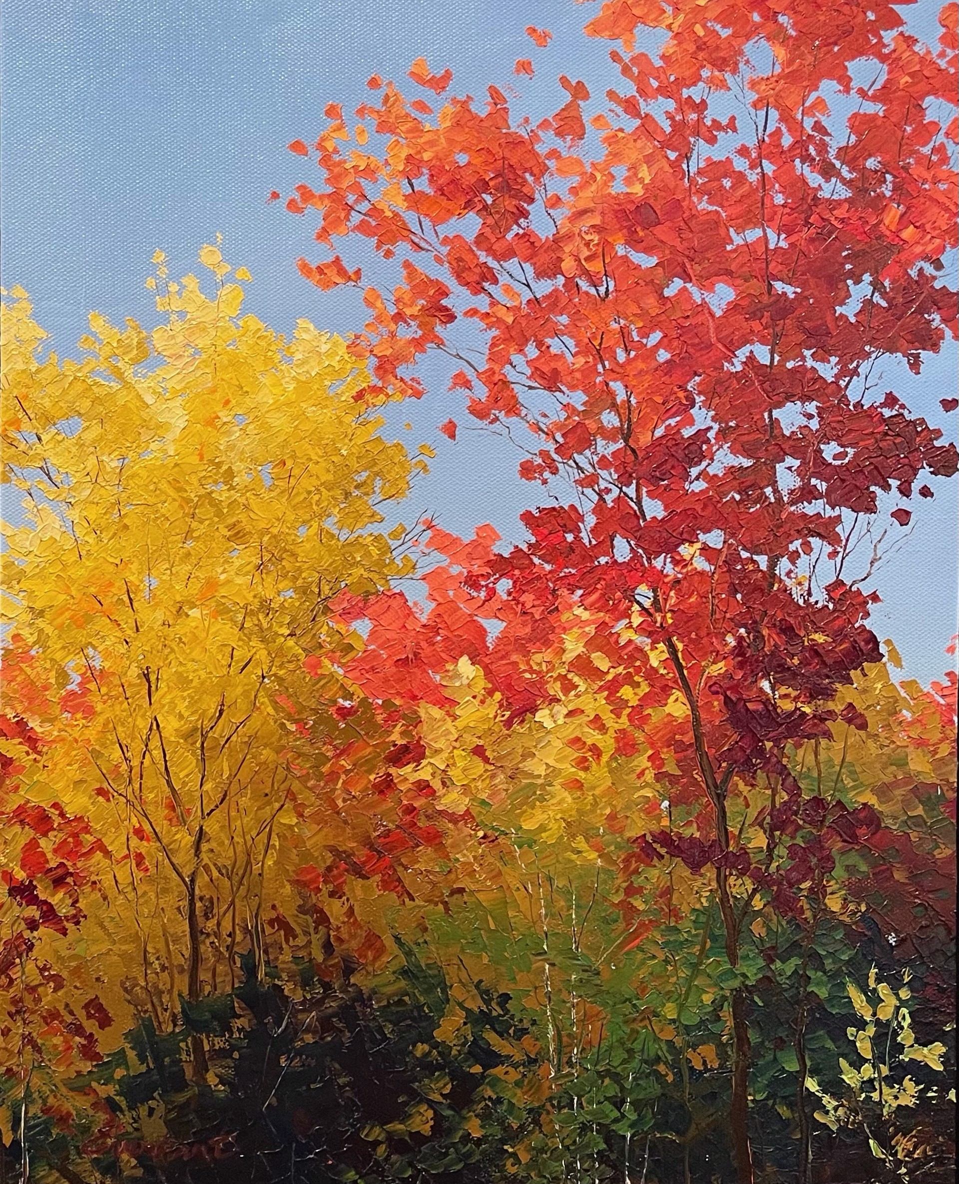 Autumn Wonder  by Amy Everhart