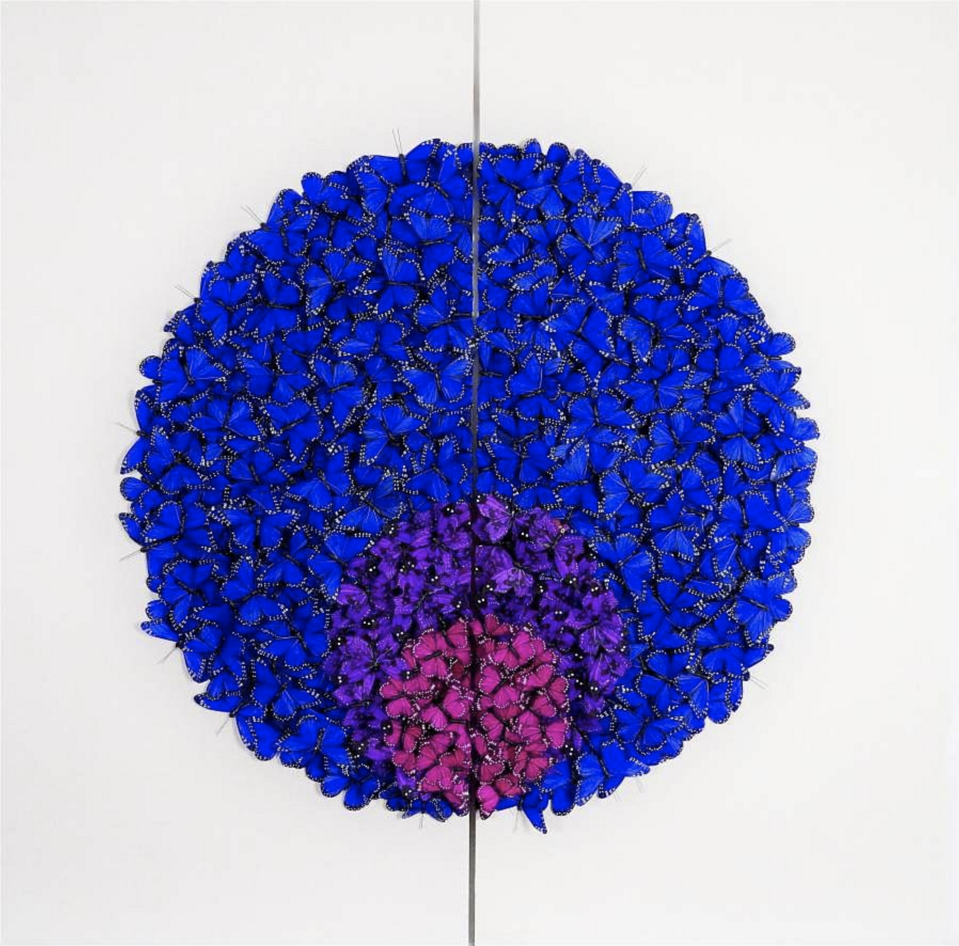 Good Pupil (diptych) by Juan Carlos Collada